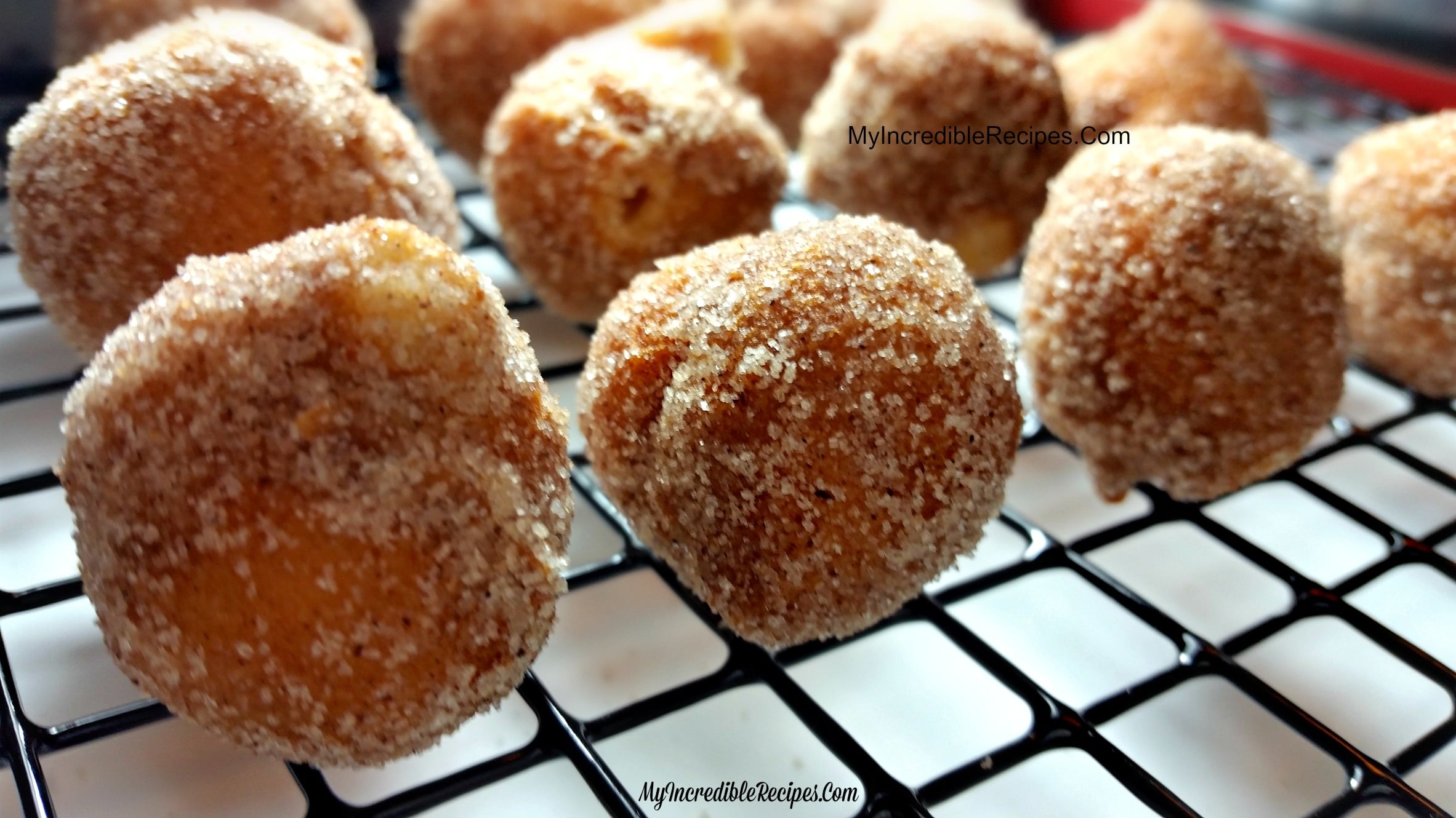 Cinnamon Sugar Doughnut Holes – BITE SIZE