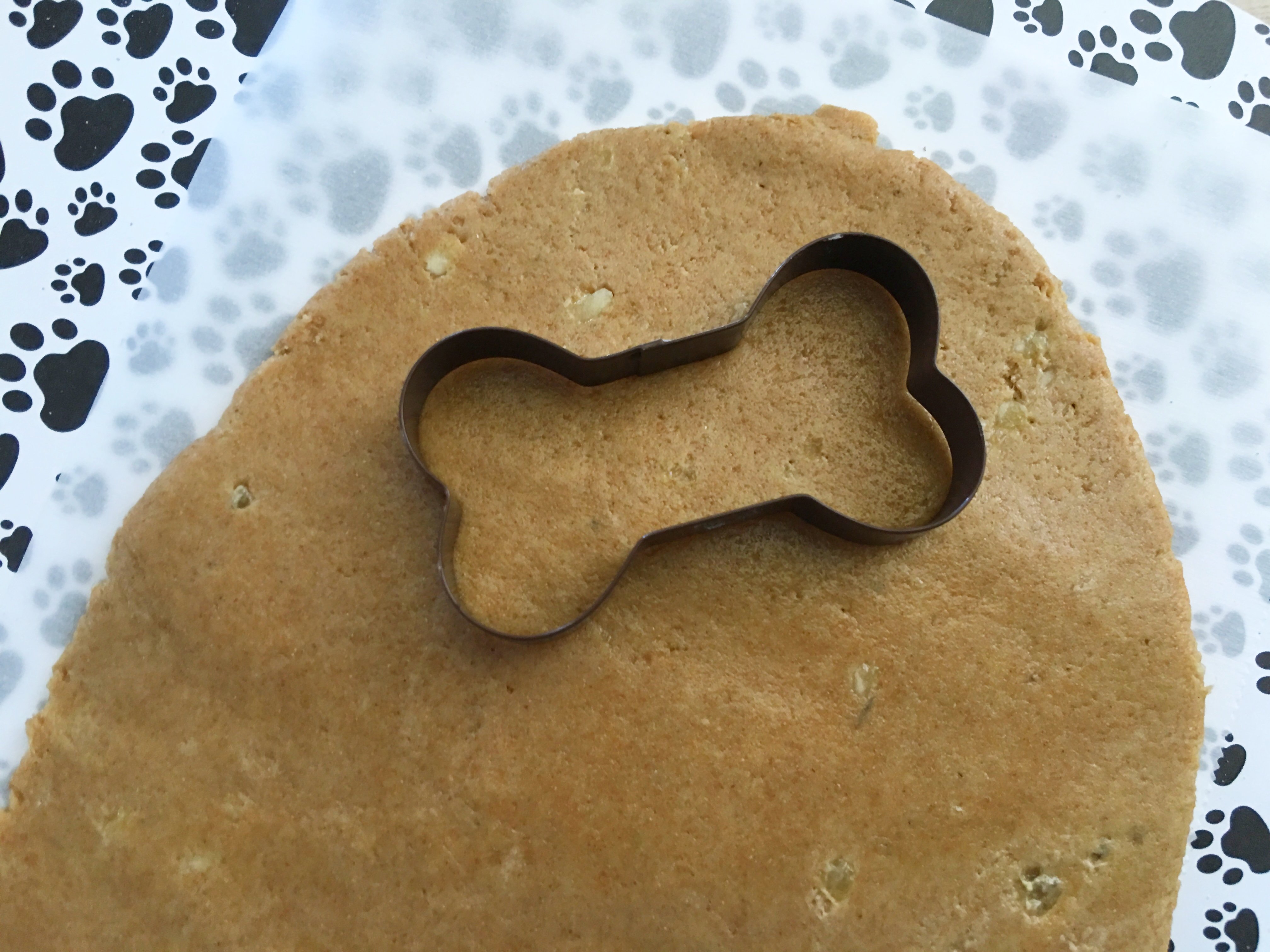 IMG_1765