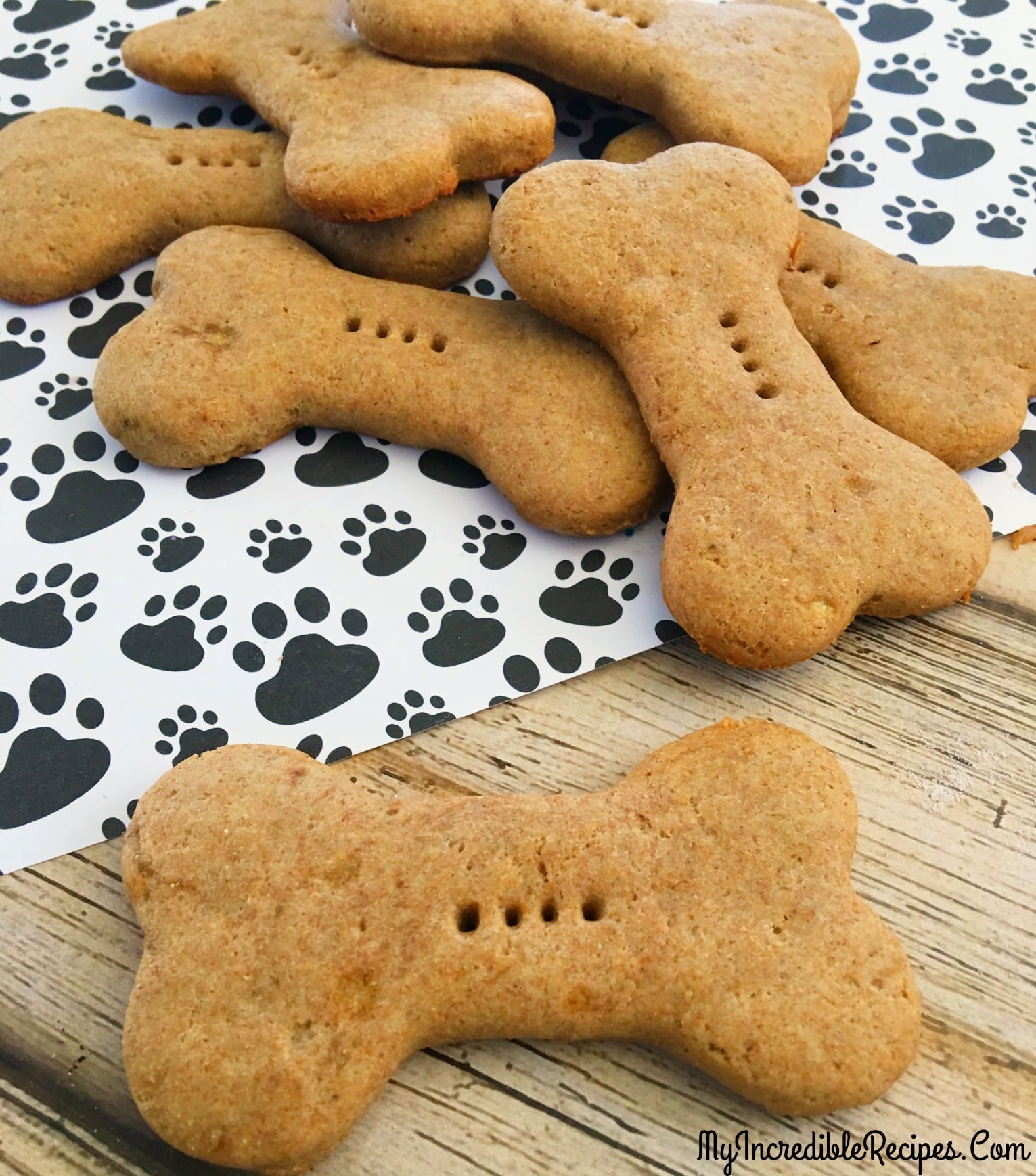 dog4