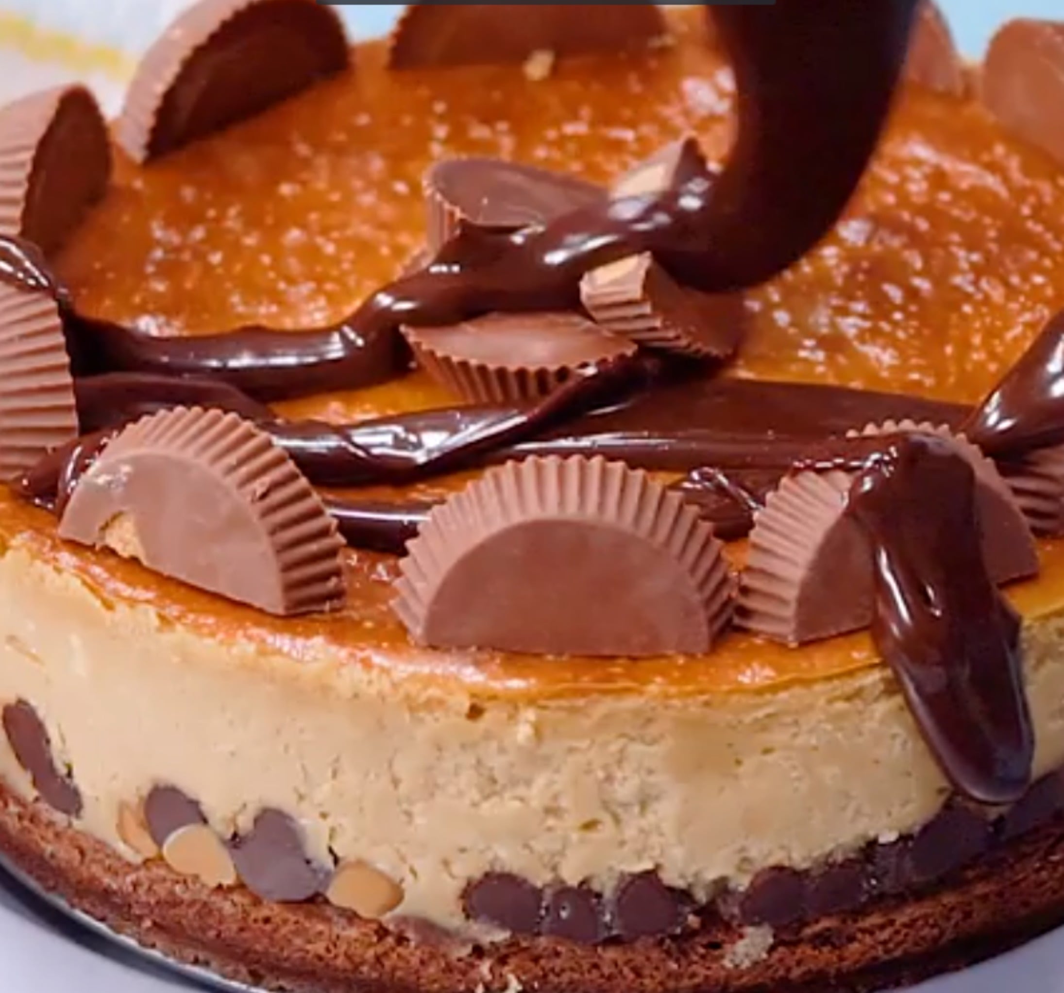 Brownie Bottom Peanut Butter Cheesecake!