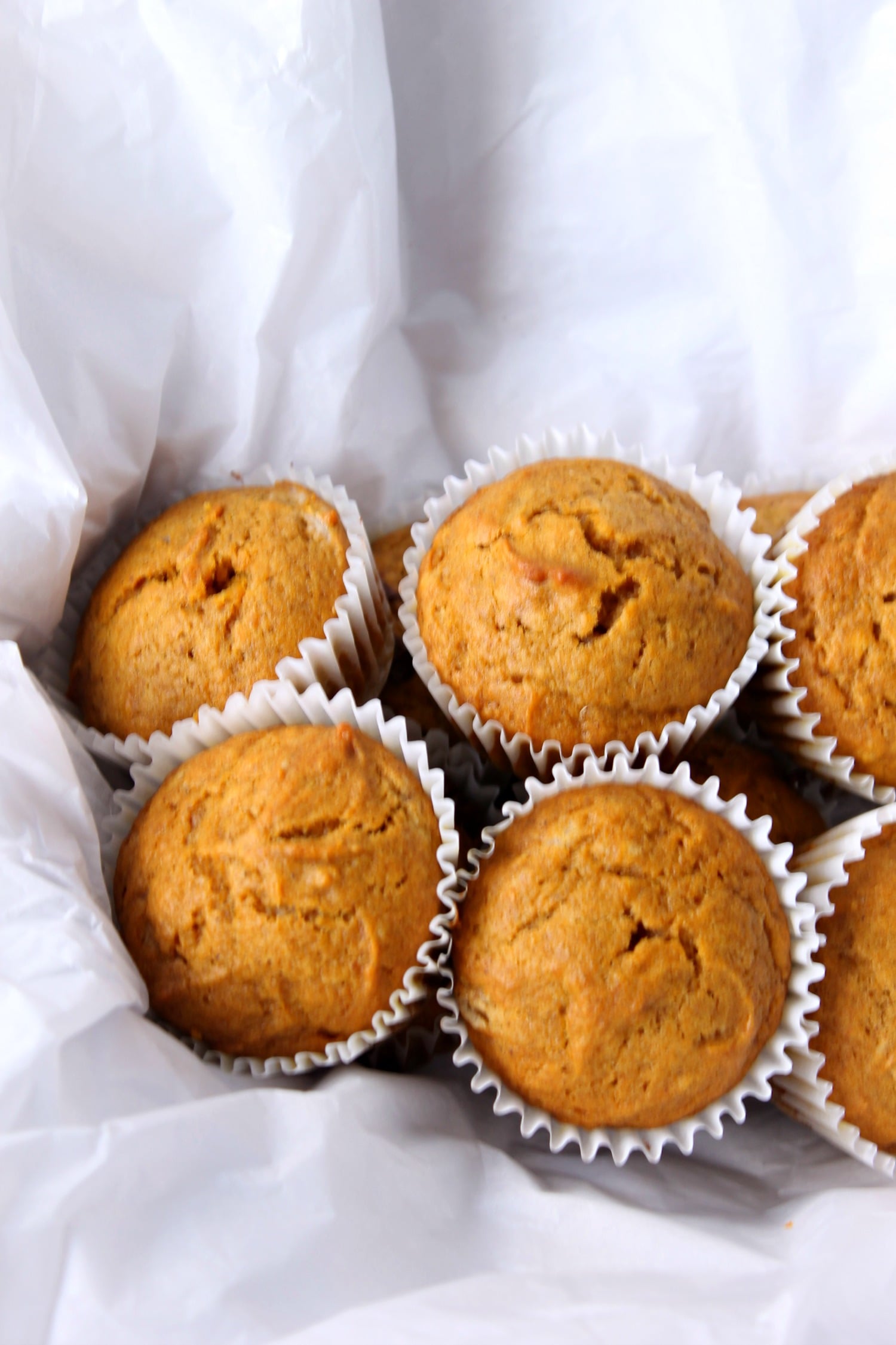 Butternut Squash Muffins!