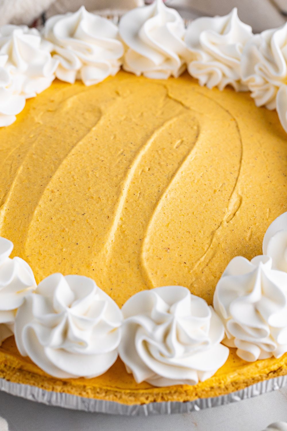no bake pumpkin cheesecake on table