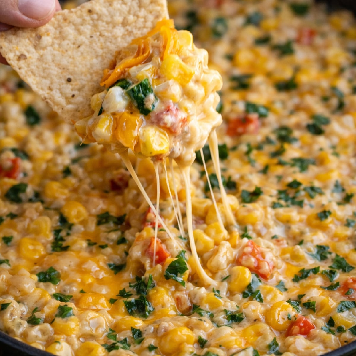 Creamy Cheesy Hot Corn Dip