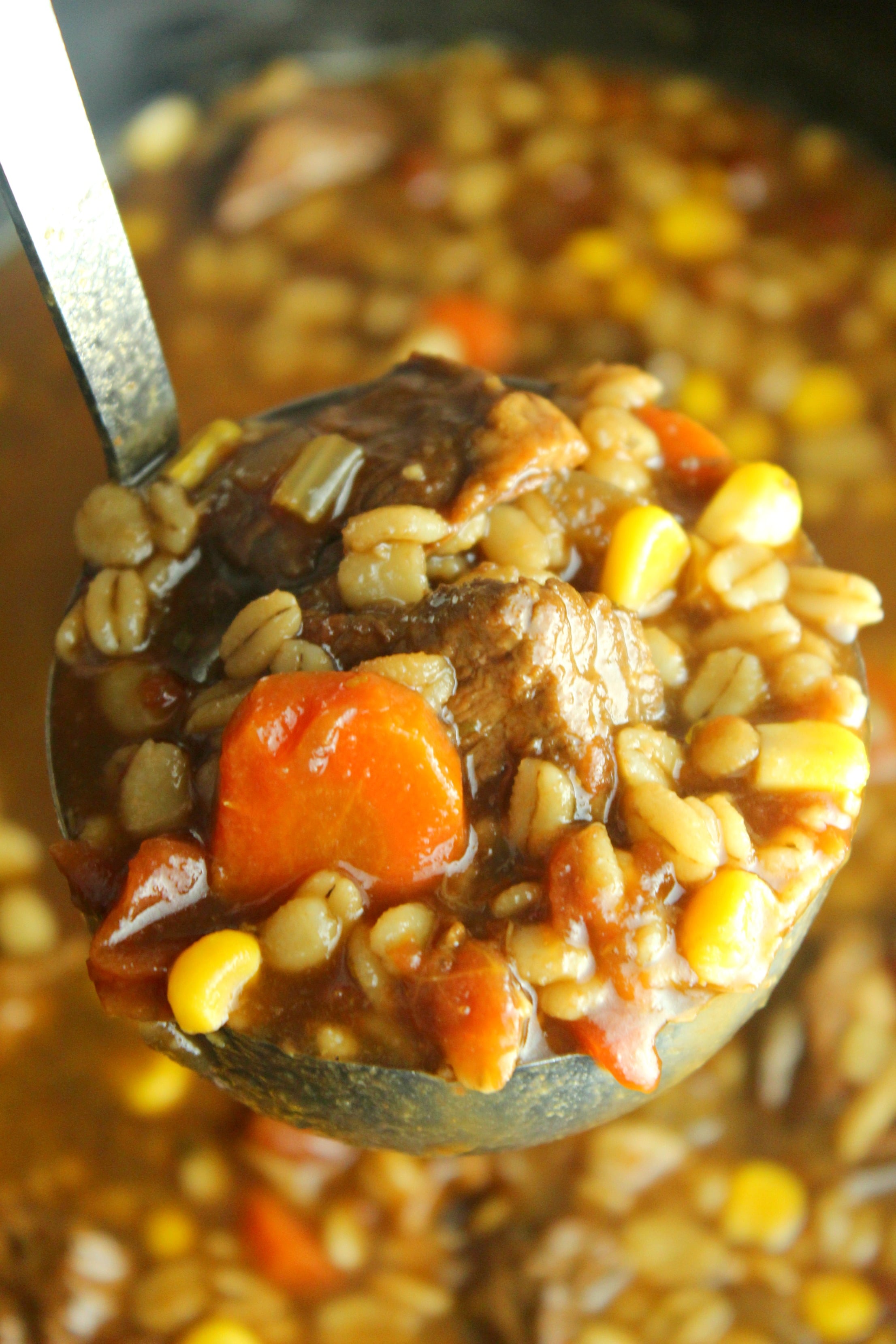 Homemade Slow Cooker Beef & Barley Soup