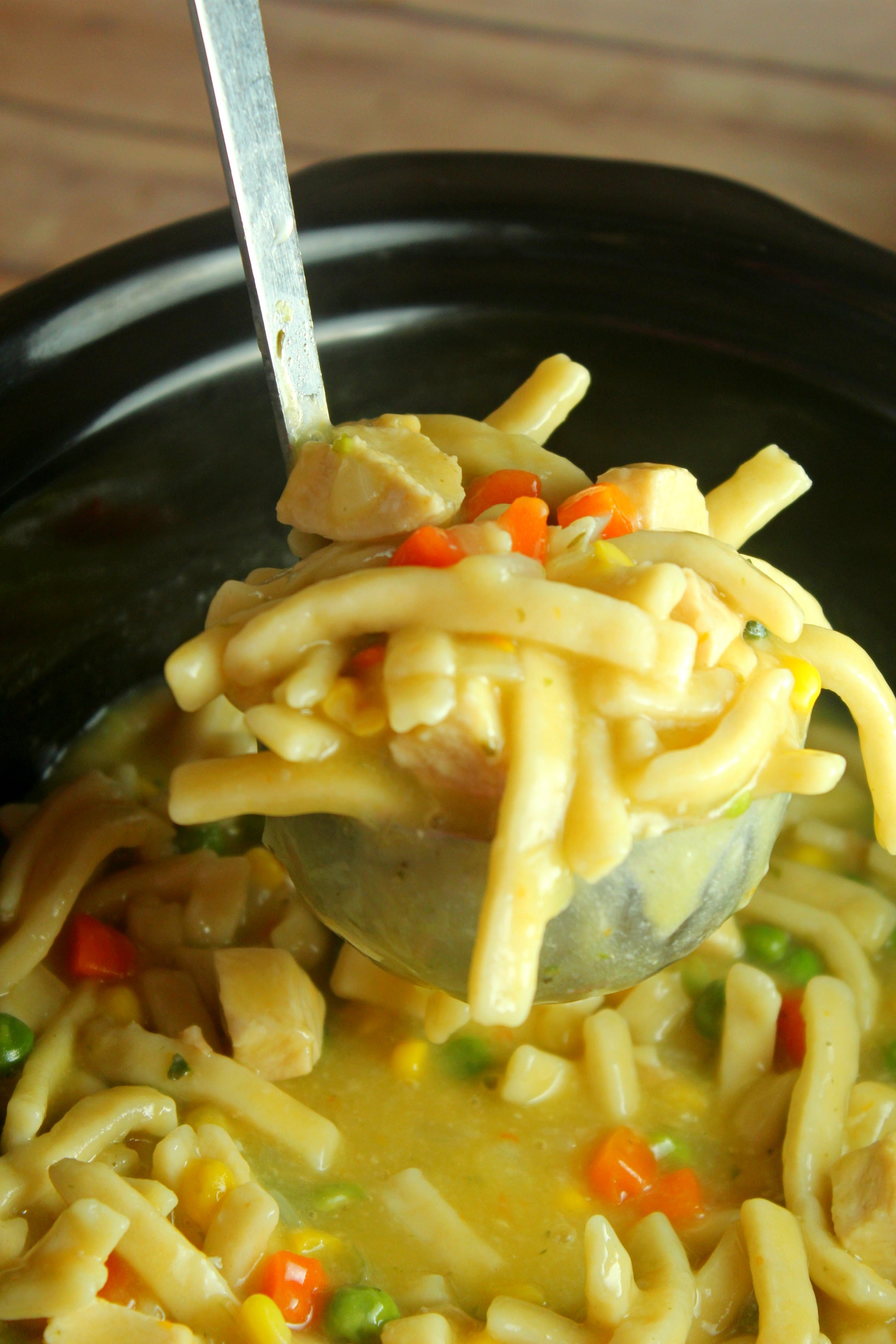 Slow Cooker Chicken Noodle Soup!