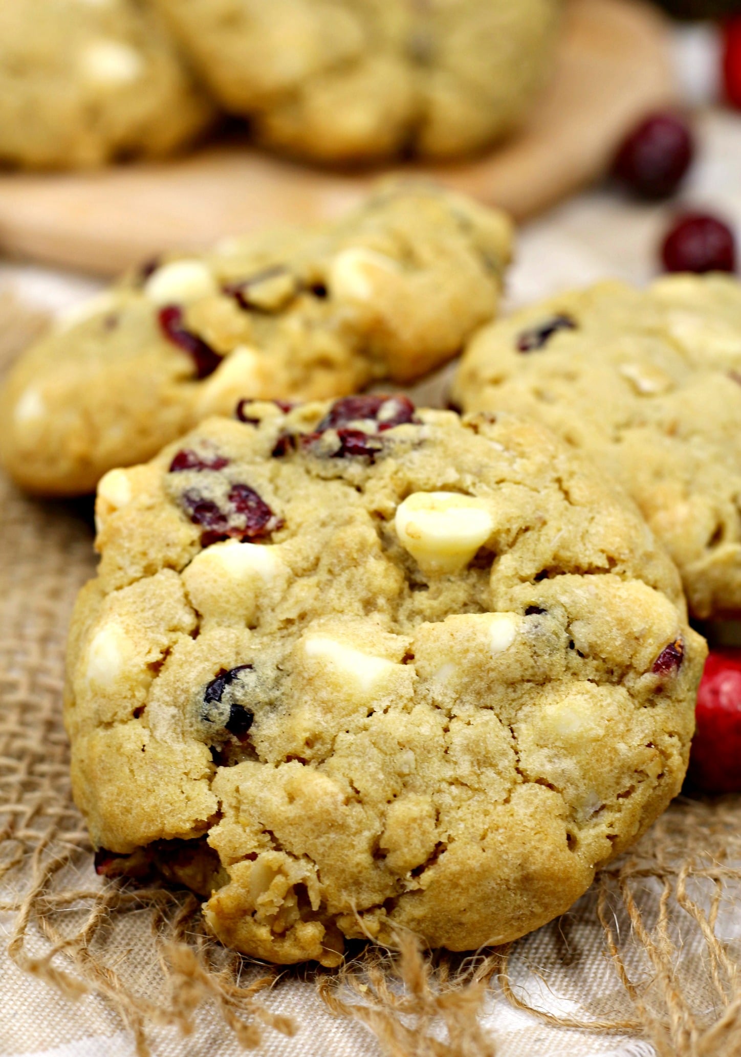 Cranberry White Chocolate Oatmeal Cookies!