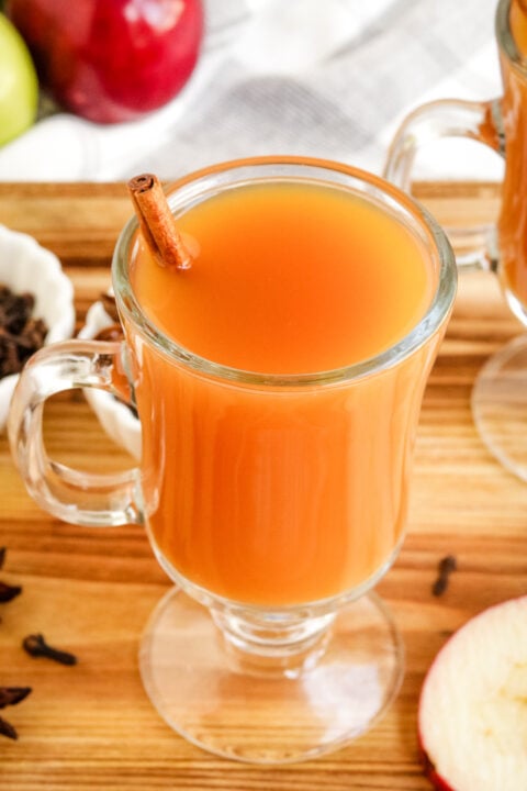 Slow Cooker Hot Mulled Cider