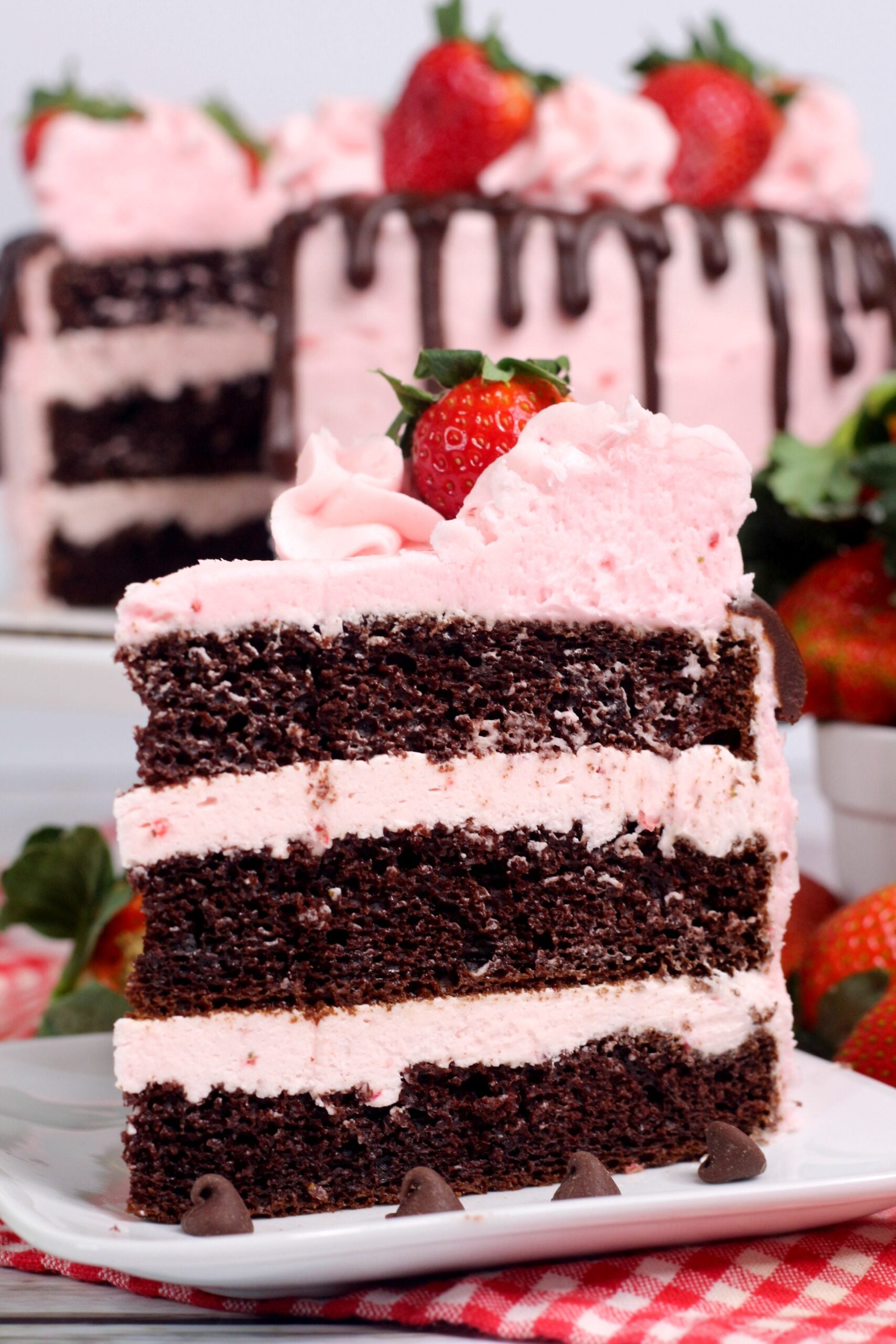 Chocolate Kahlua Cake with Strawberry Buttercream Frosting