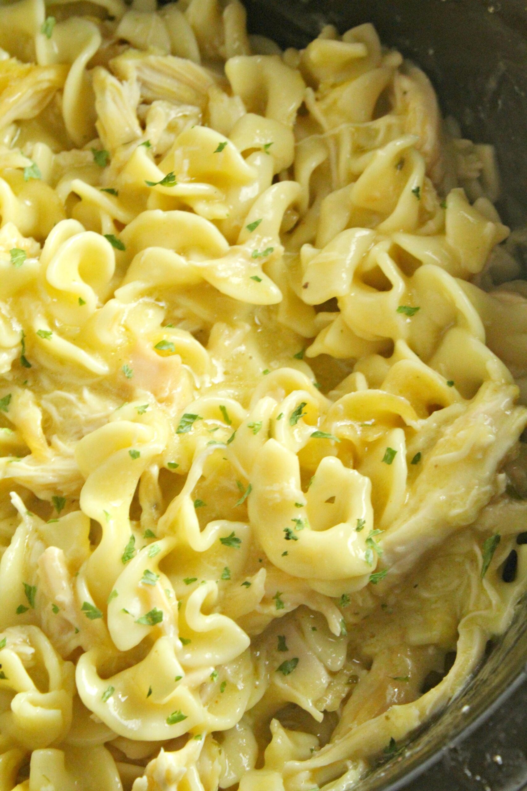 Slow Cooker Chicken and Noodles