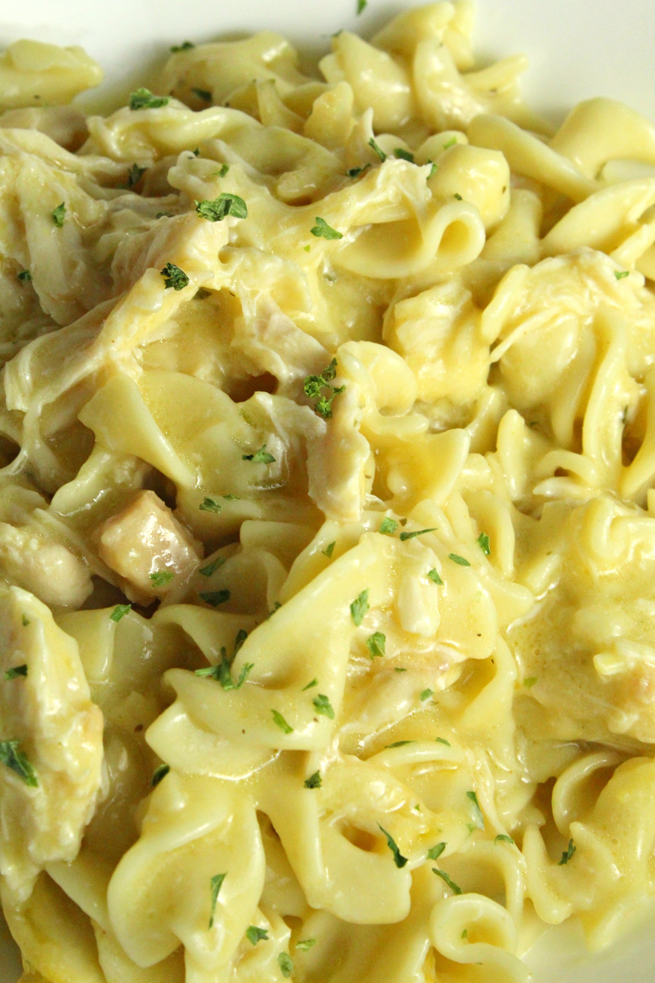 up close shot of Slow Cooker Chicken and Noodles 