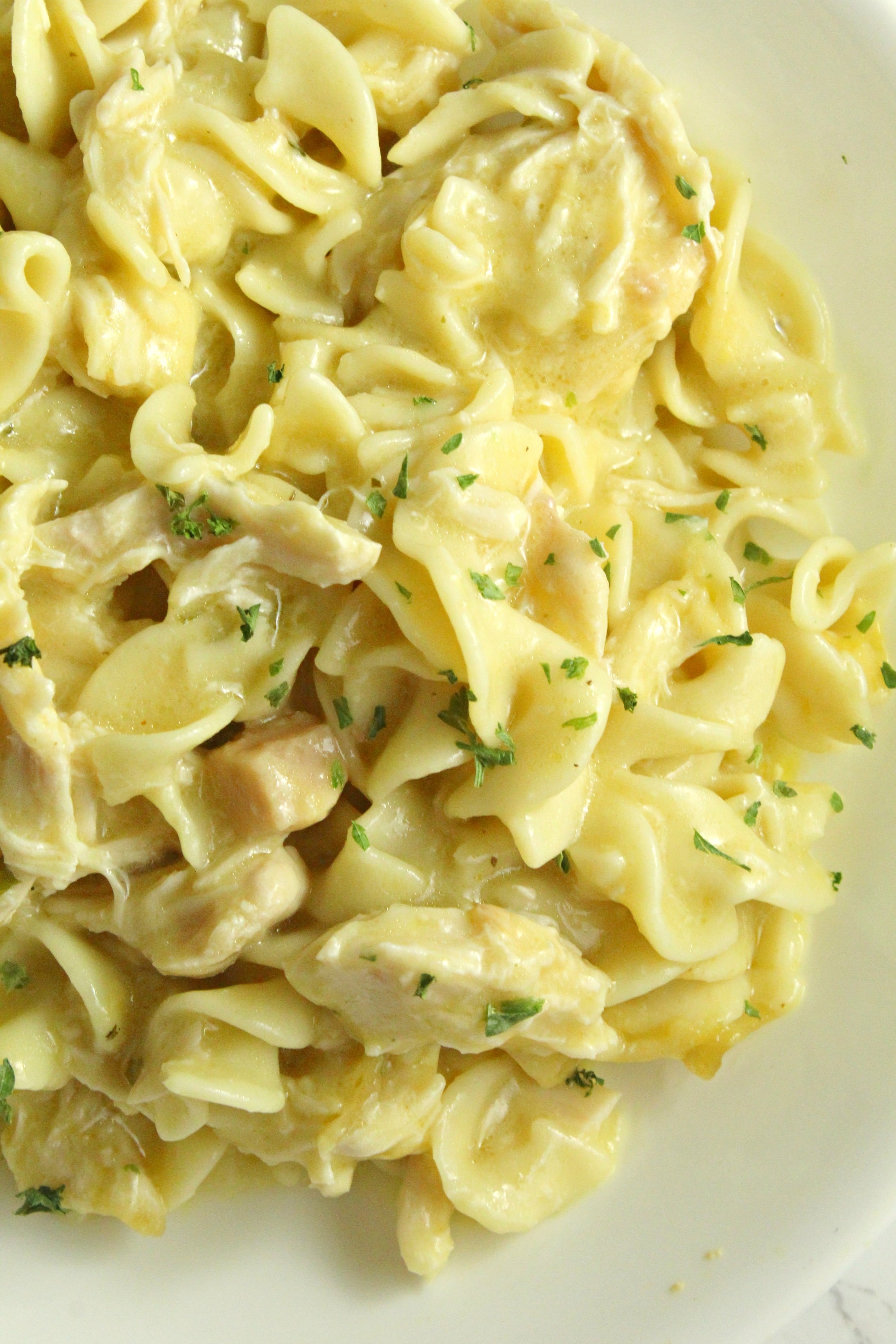 Slow Cooker Chicken and Noodles on a white plate 