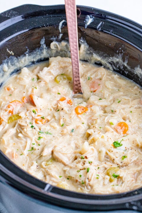 Slow Cooker Chicken and Dumplings