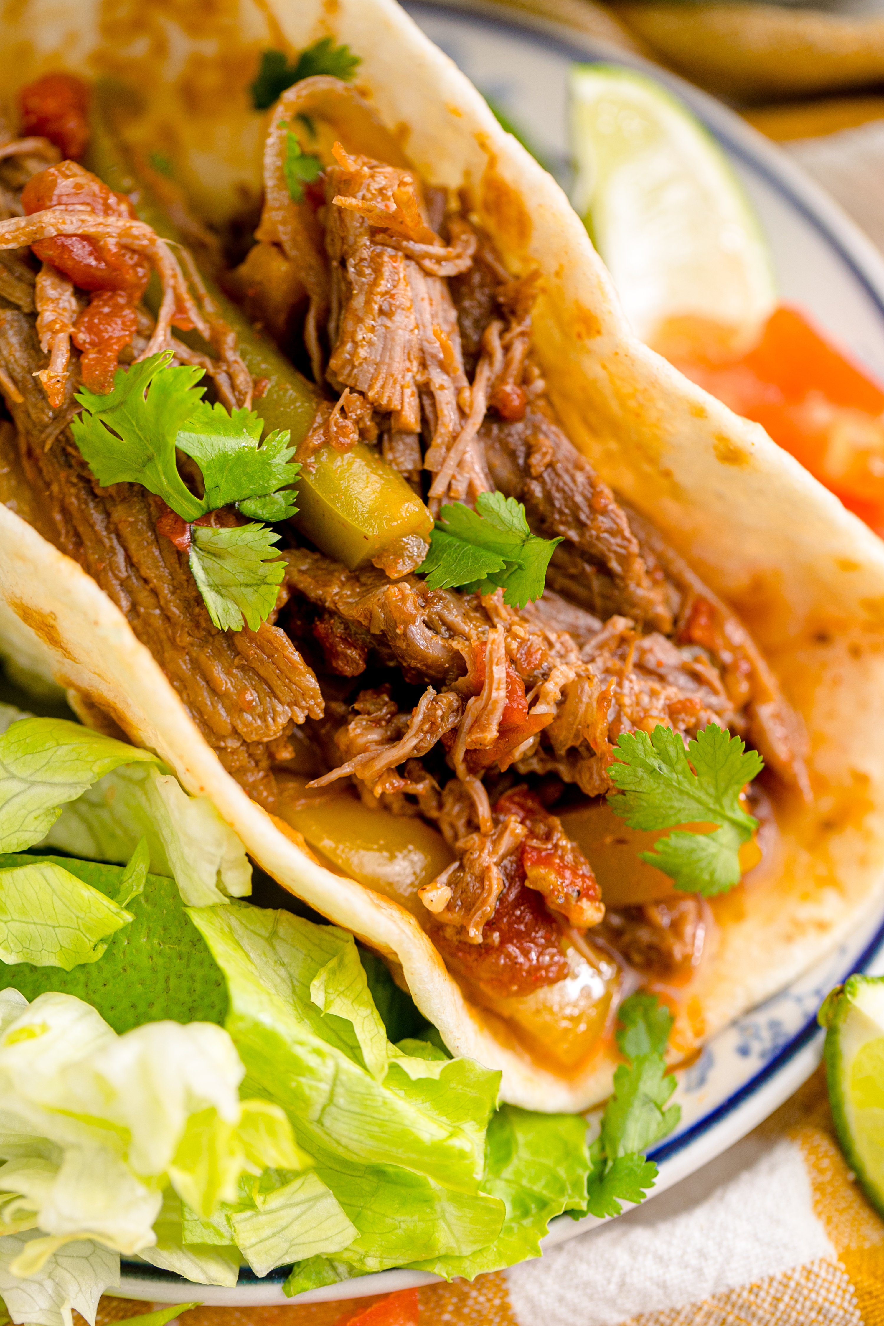 Steak Fajitas on a white plate with lettuce
