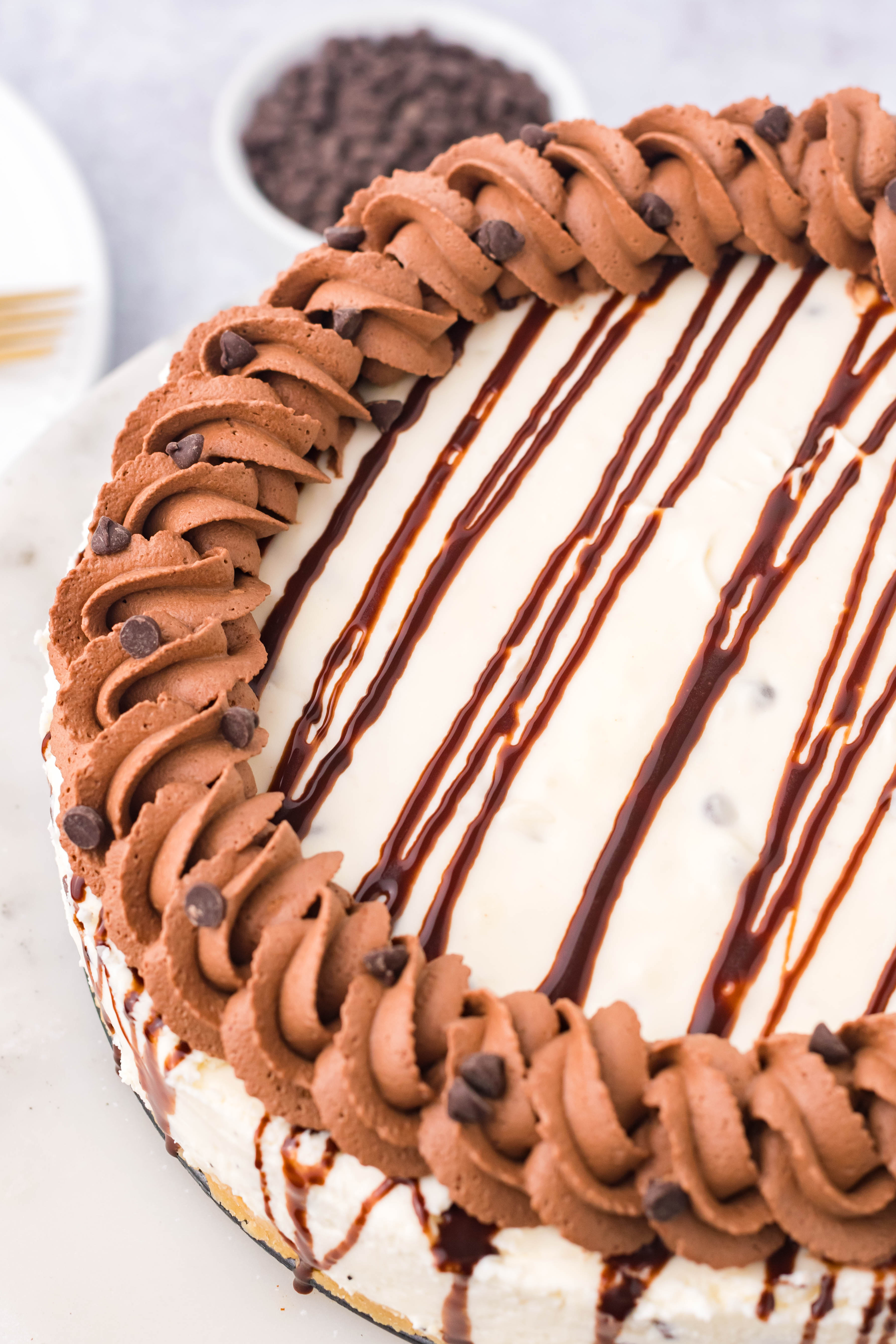 Chocolate Chip Cheesecake on a cake stand overhead shot