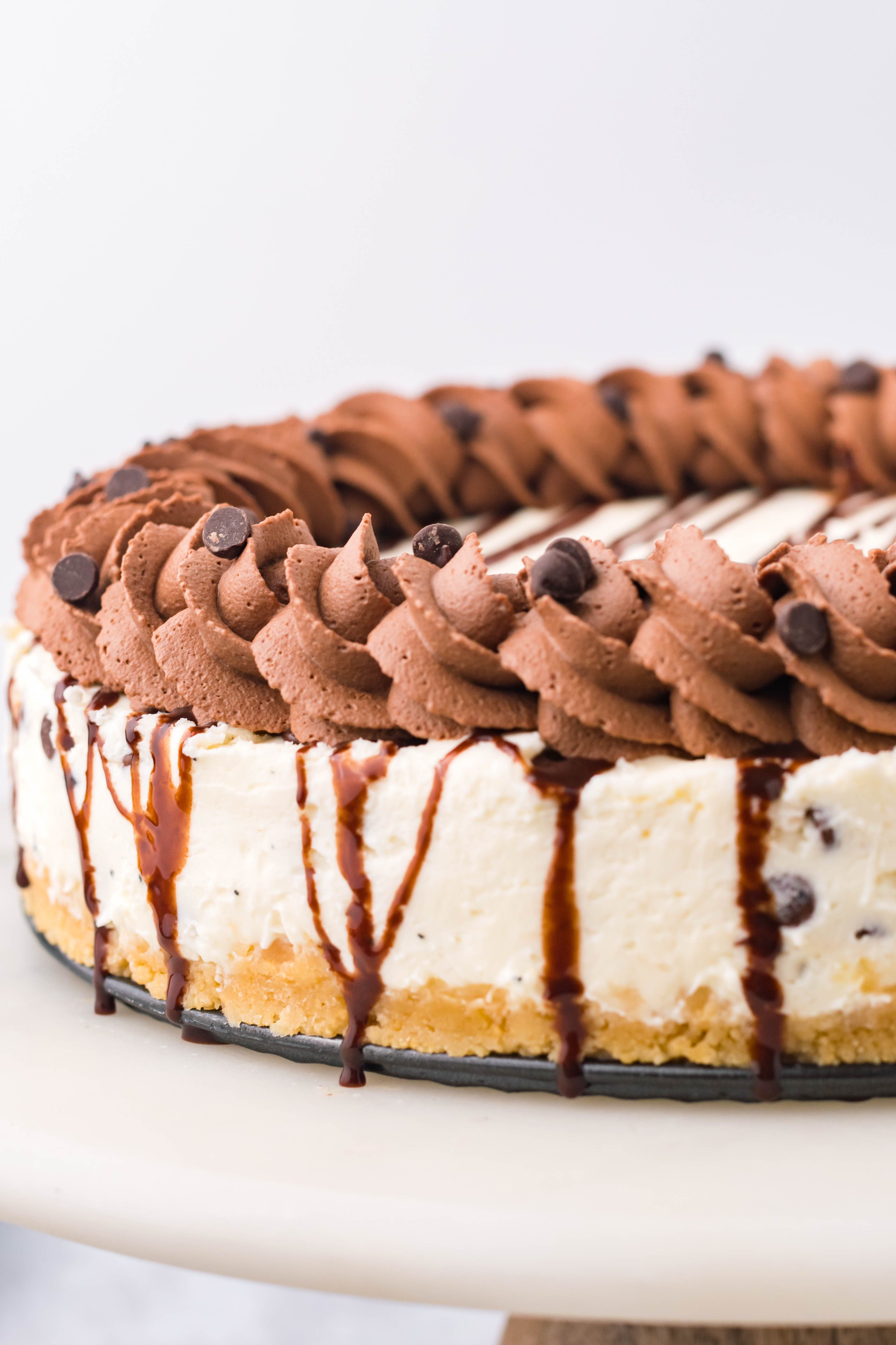 Chocolate Chip Cheesecake on a cake stand from the side