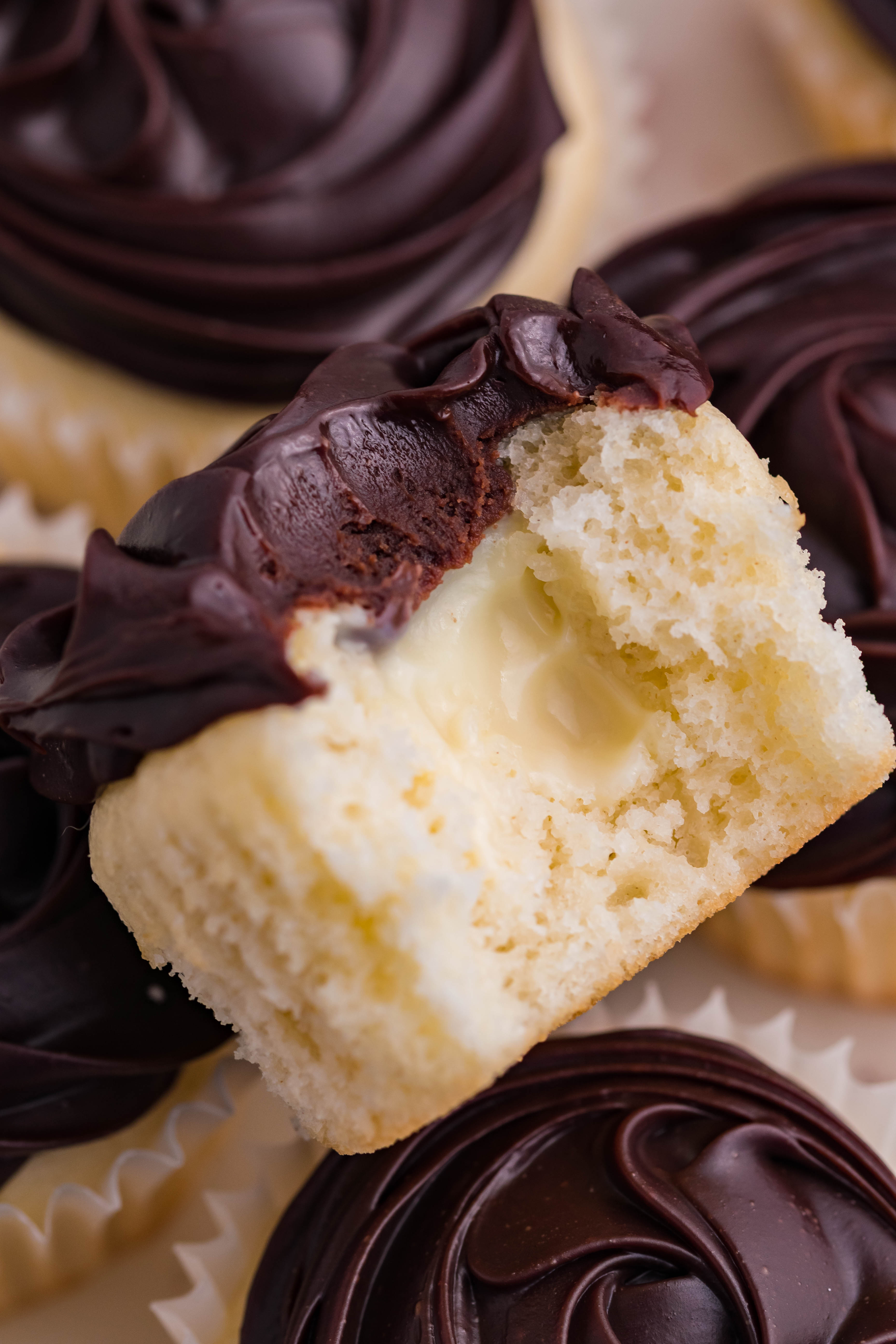 Boston Cream Cupcakes