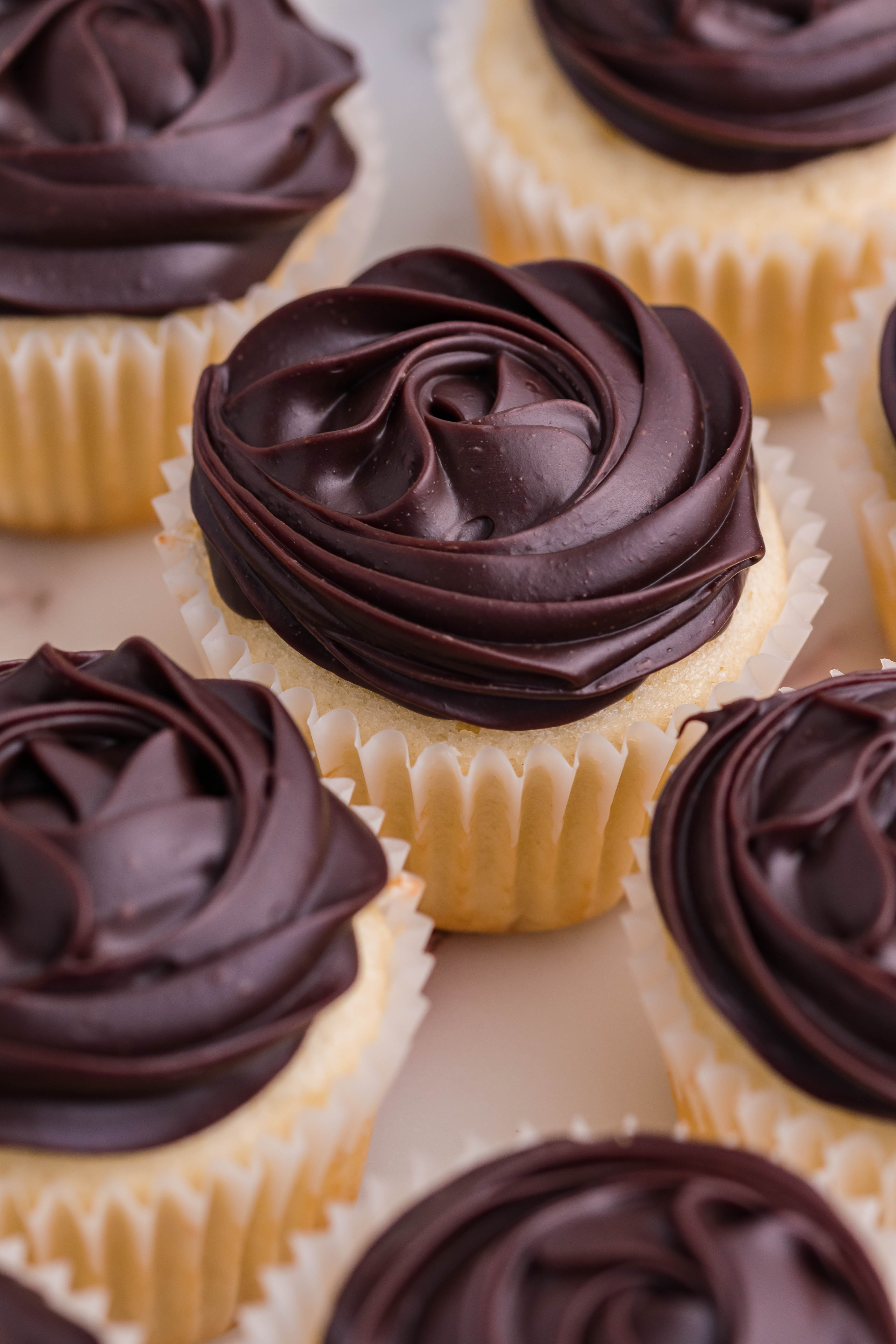 Boston Cream Cupcakes on a white counter