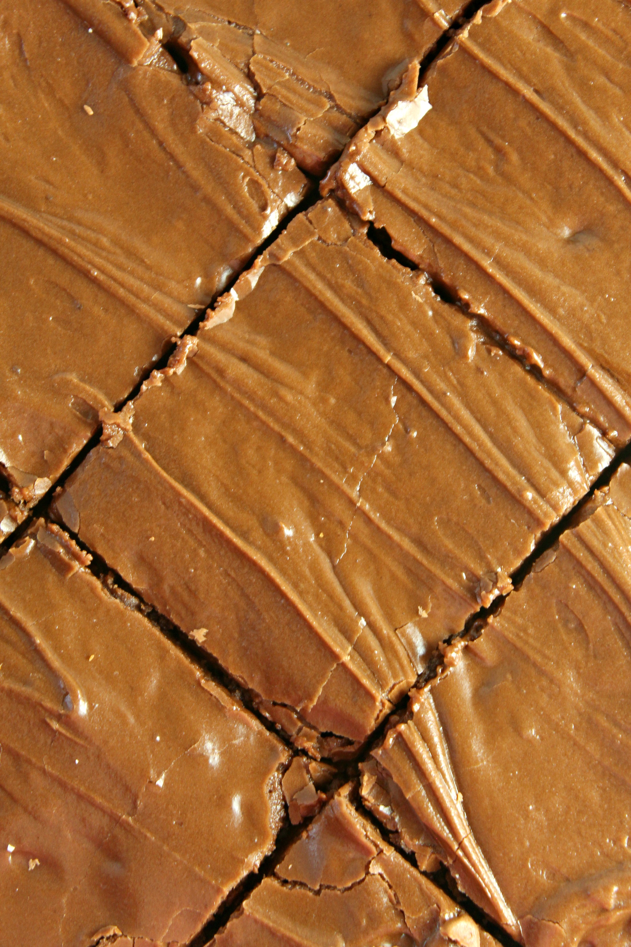 Homemade chocolate frosted lunch lady Brownies cut in squares