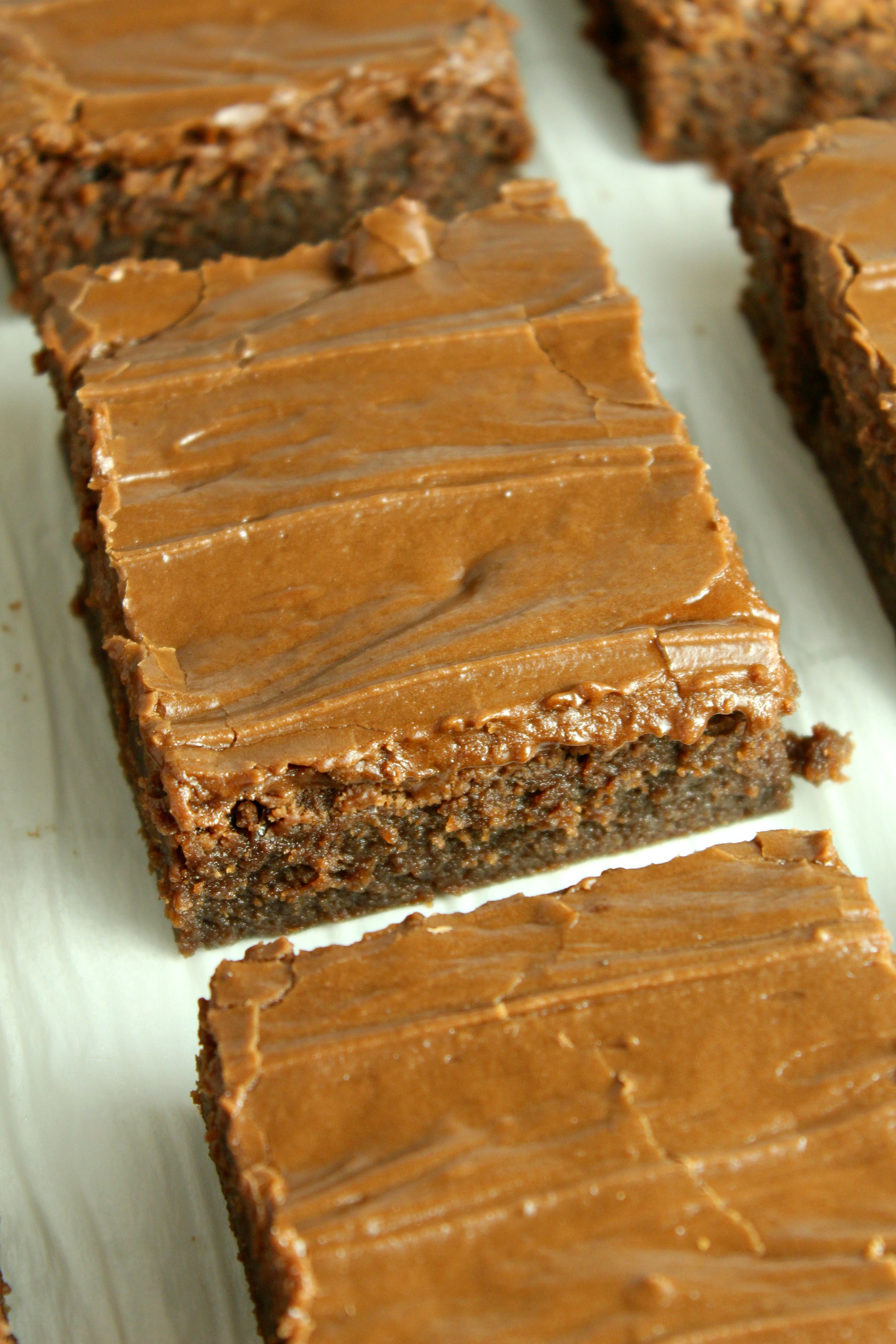 Homemade chocolate frosted lunch lady Brownies