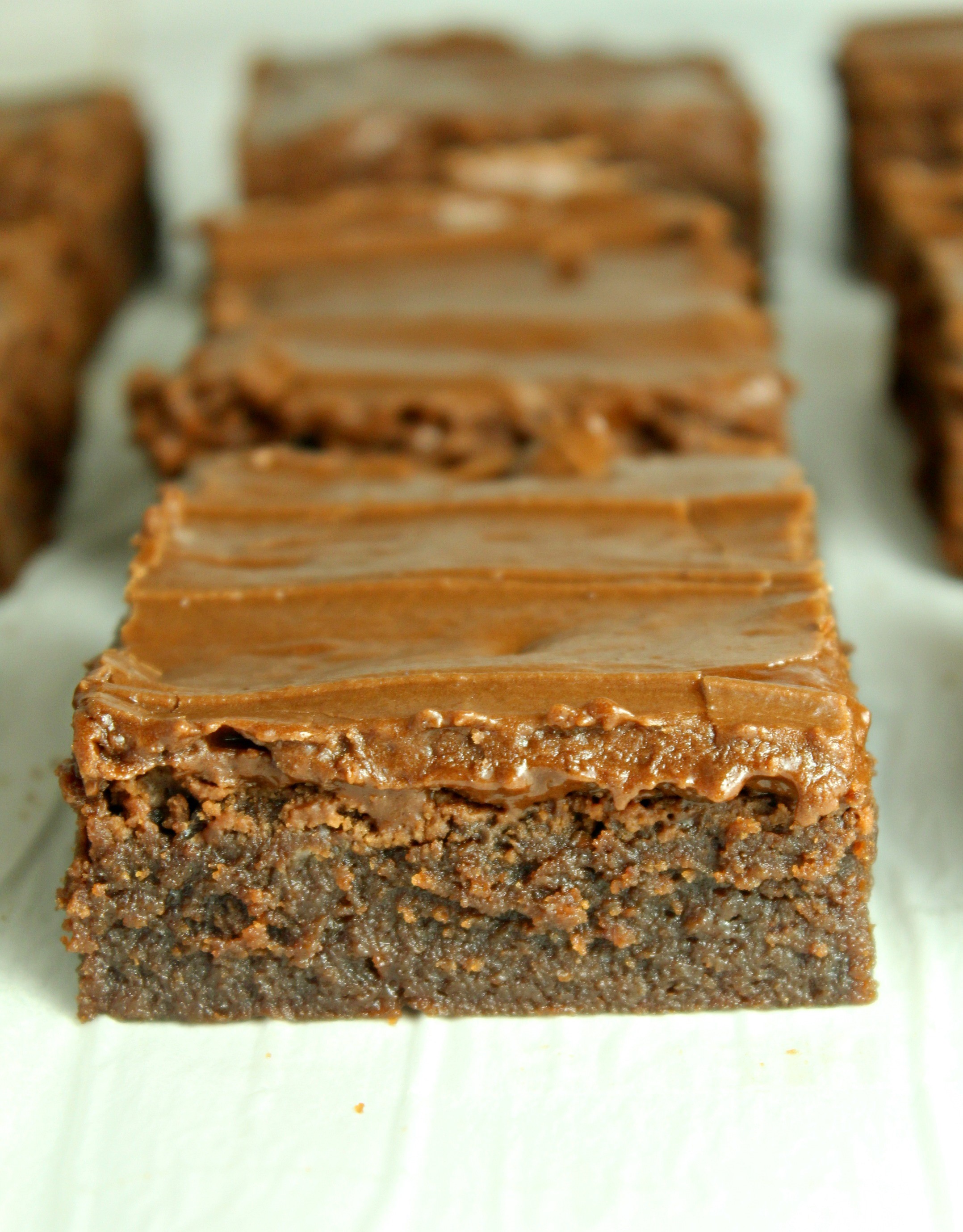 Homemade chocolate frosted lunch lady Brownies