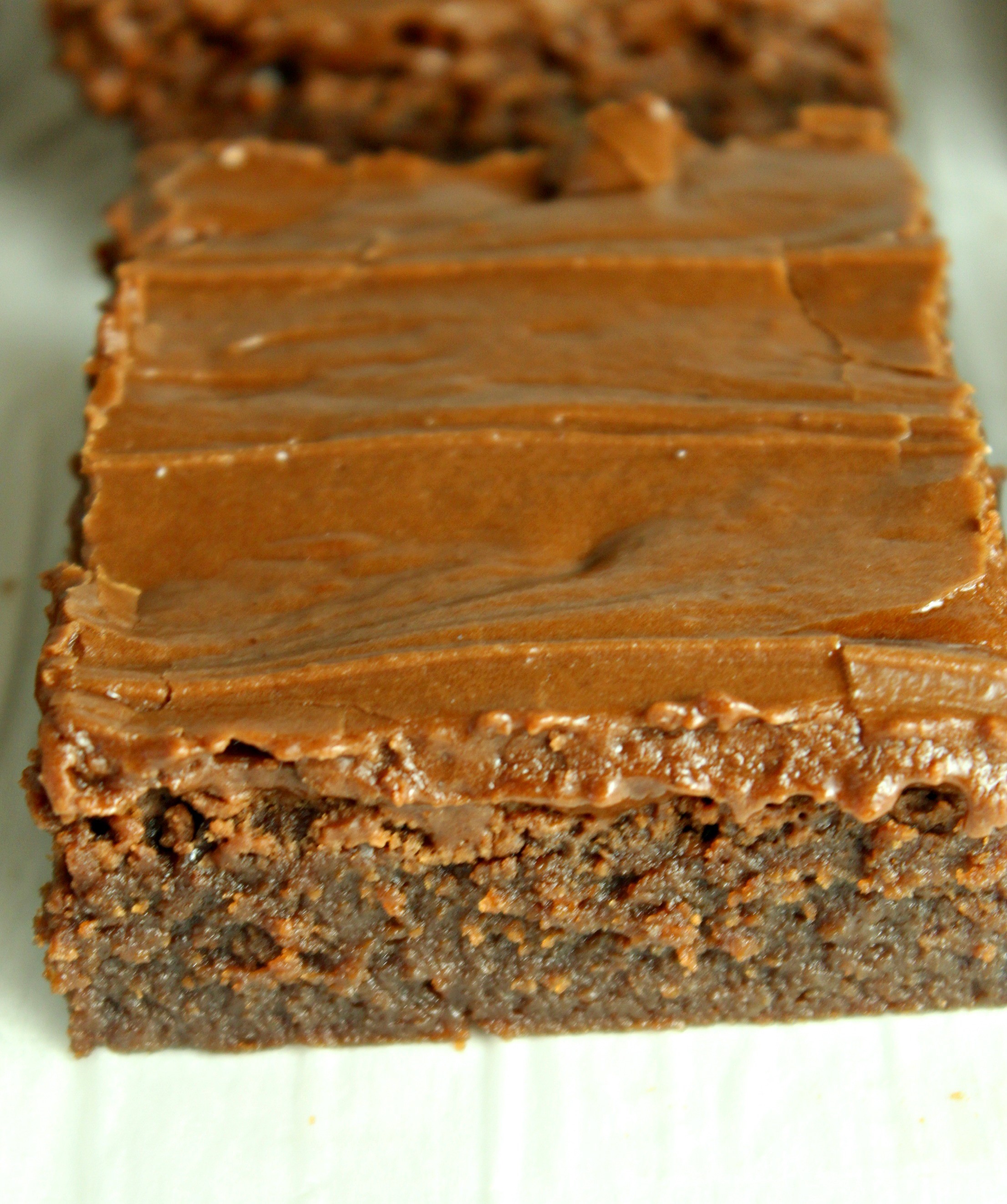 Homemade chocolate frosted lunch lady Brownie up close