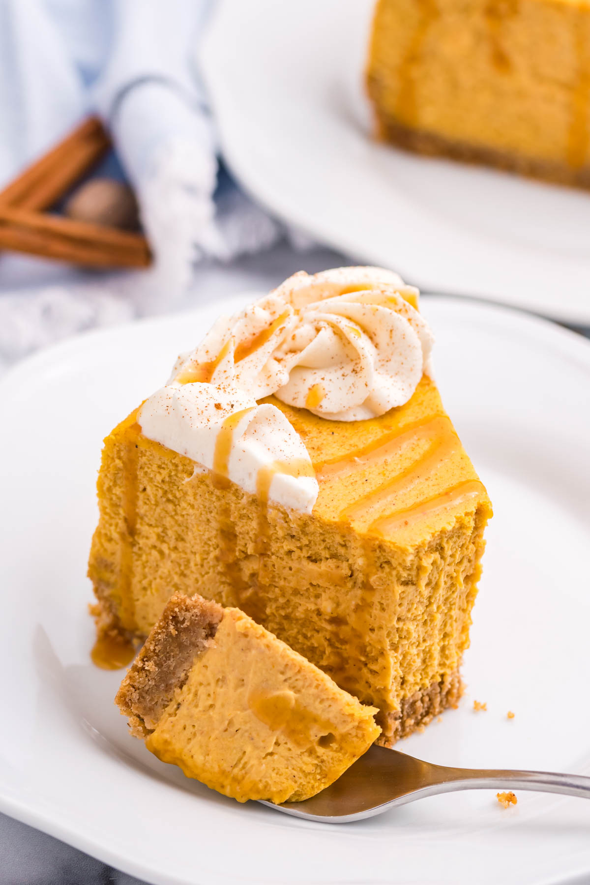 Pumpkin Cheesecake on a white plate
