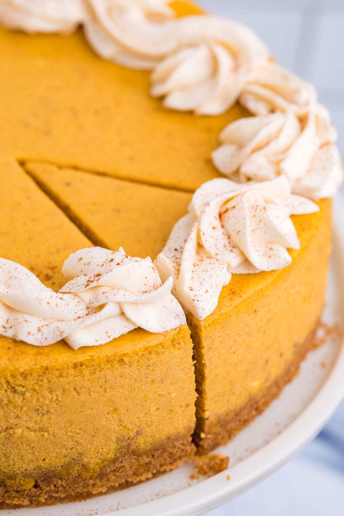 Pumpkin Cheesecake close up of the cheesecake on a cake stand with a slice cut out