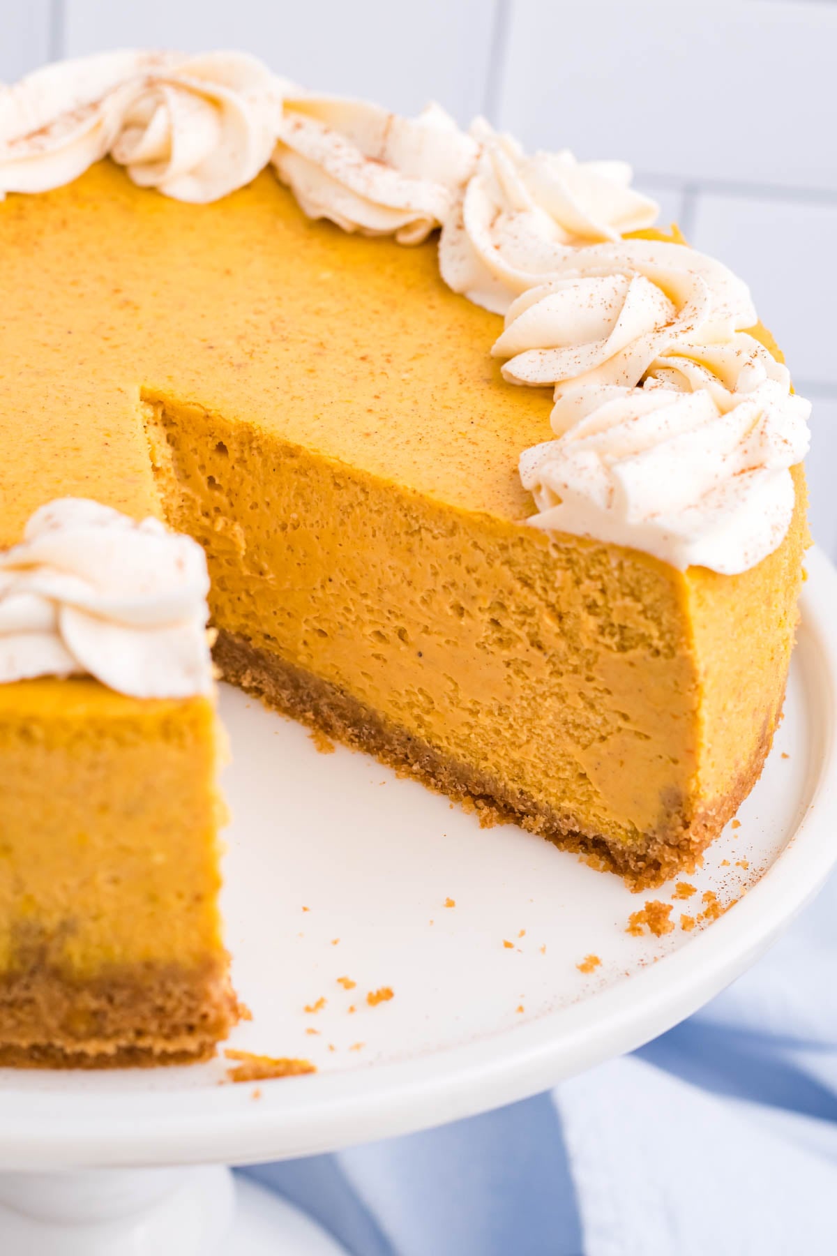 Pumpkin Cheesecake