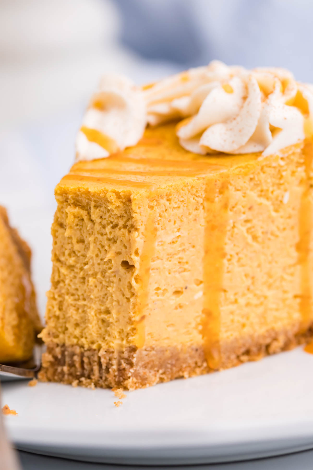 Pumpkin Cheesecake side shot of a slice on a white plate