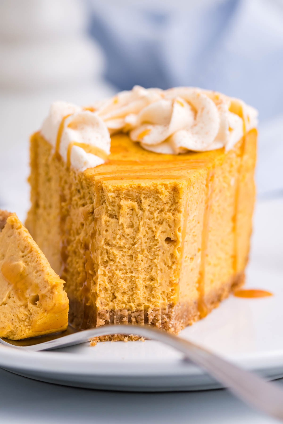 Pumpkin Cheesecake close up shot with a bite taken out