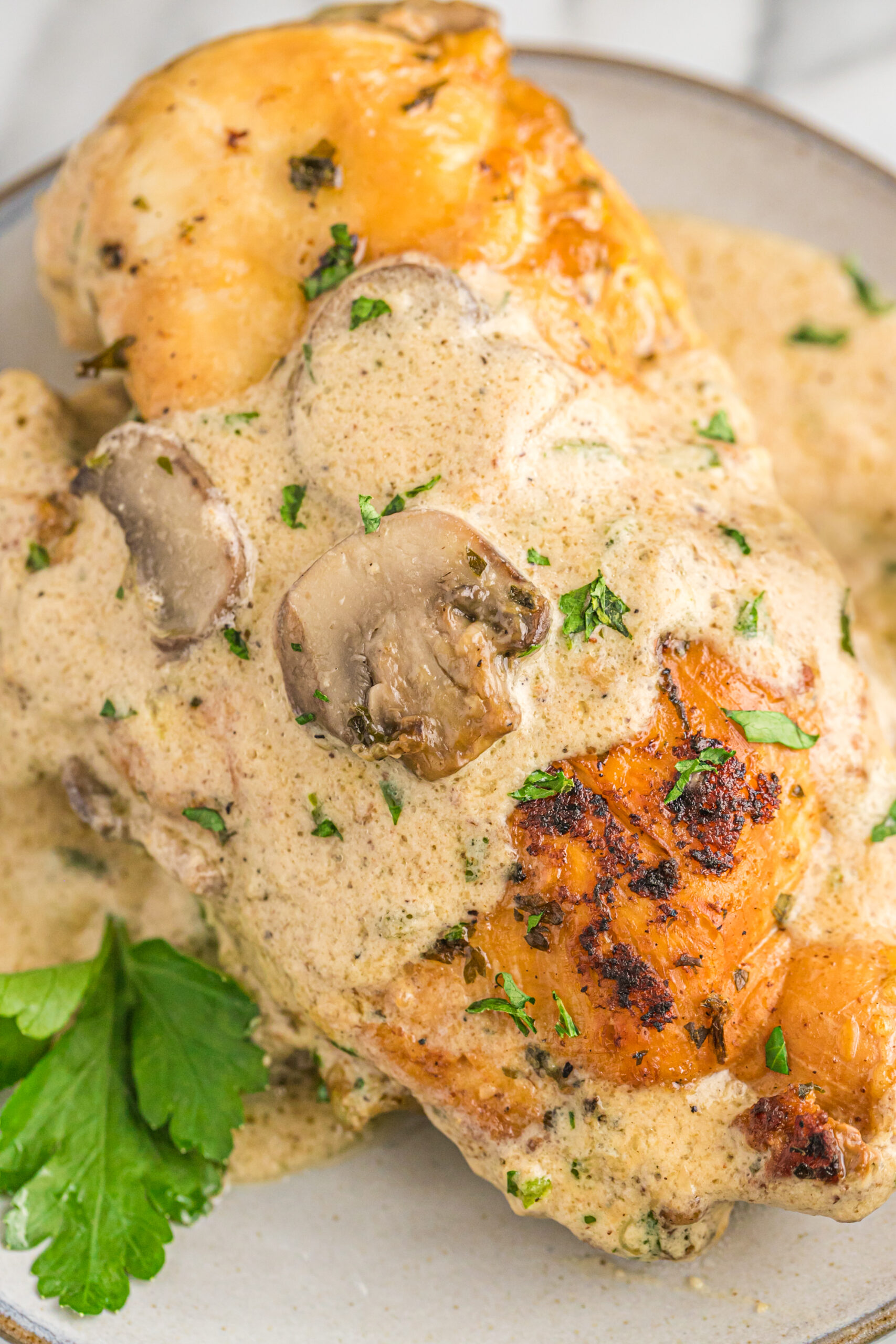 A piece of chicken on a plate covered in cream sauce.