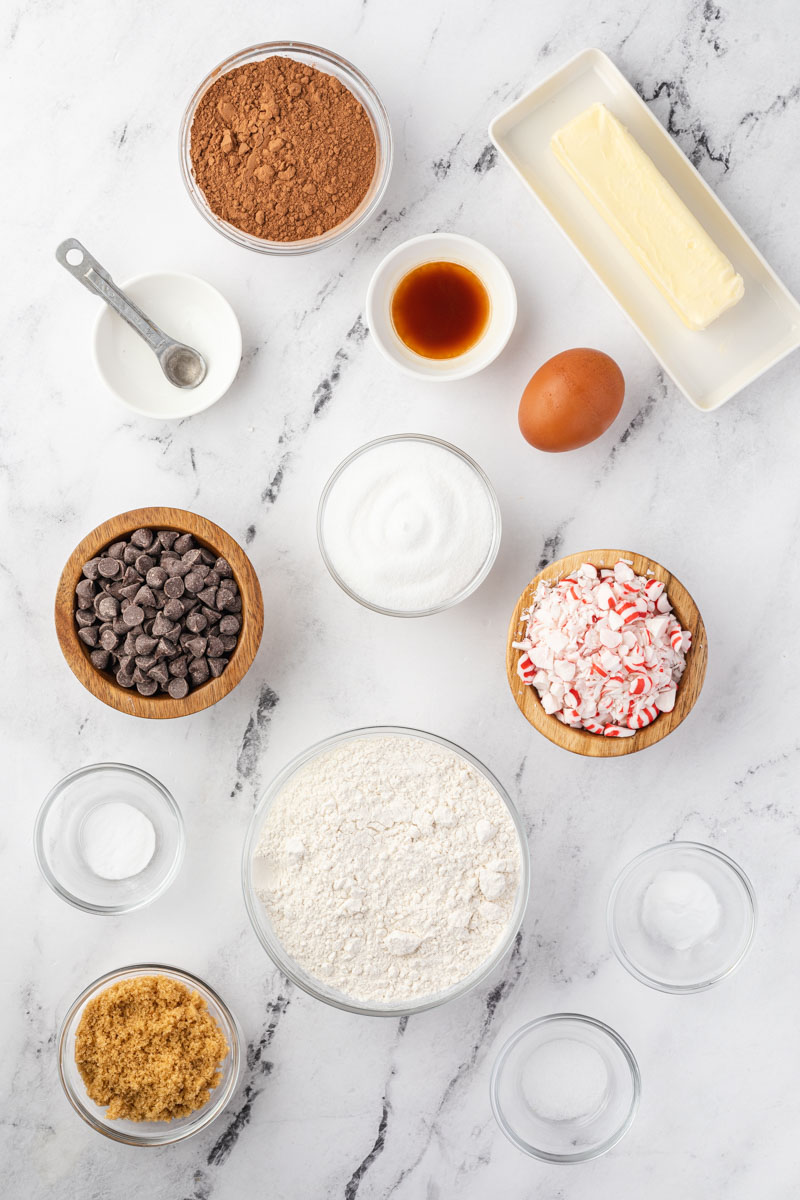 Overhead shot of the ingredients needed to make this recipe. 