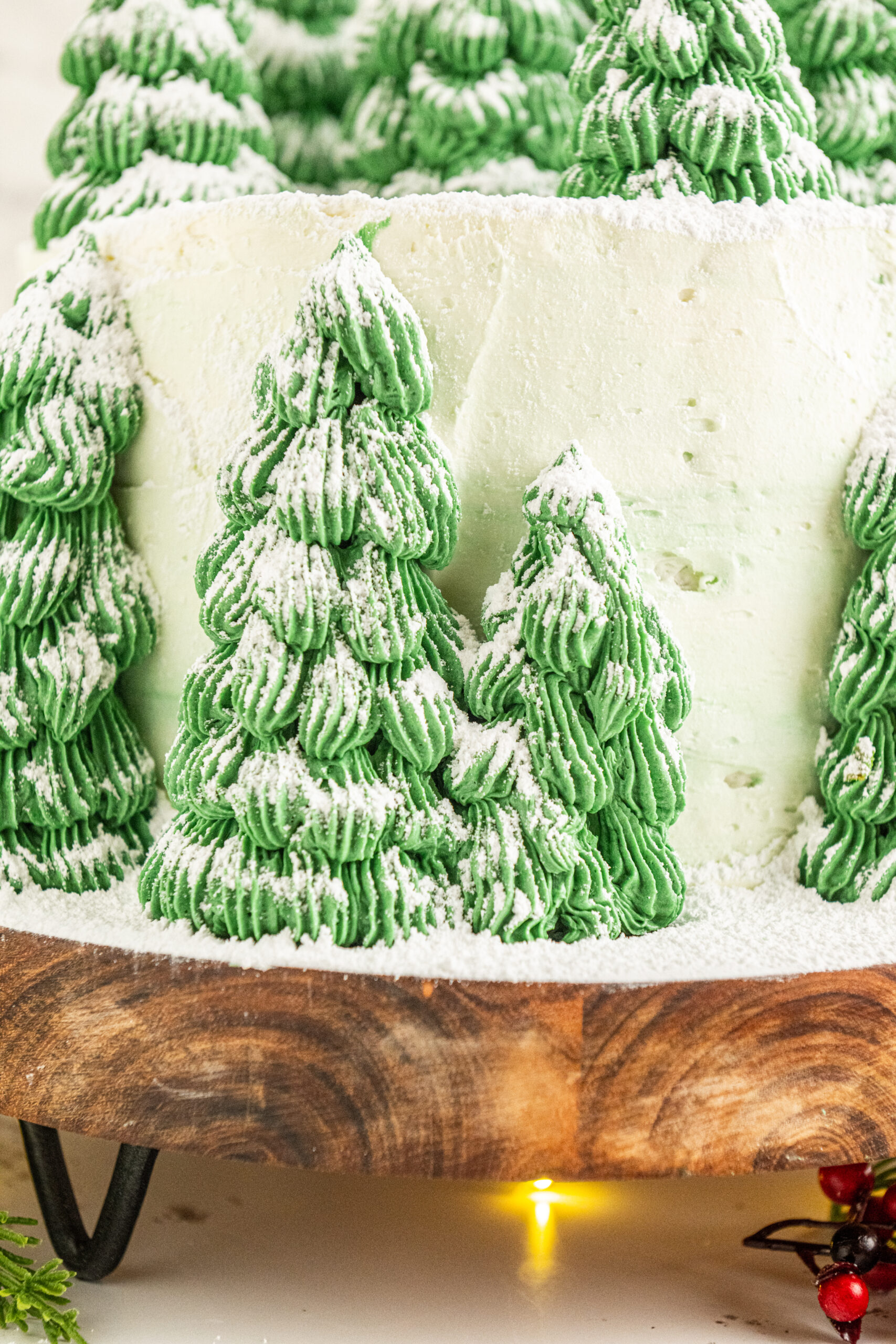 A close up of the "Christmas Tree" cones on the side of the cake.