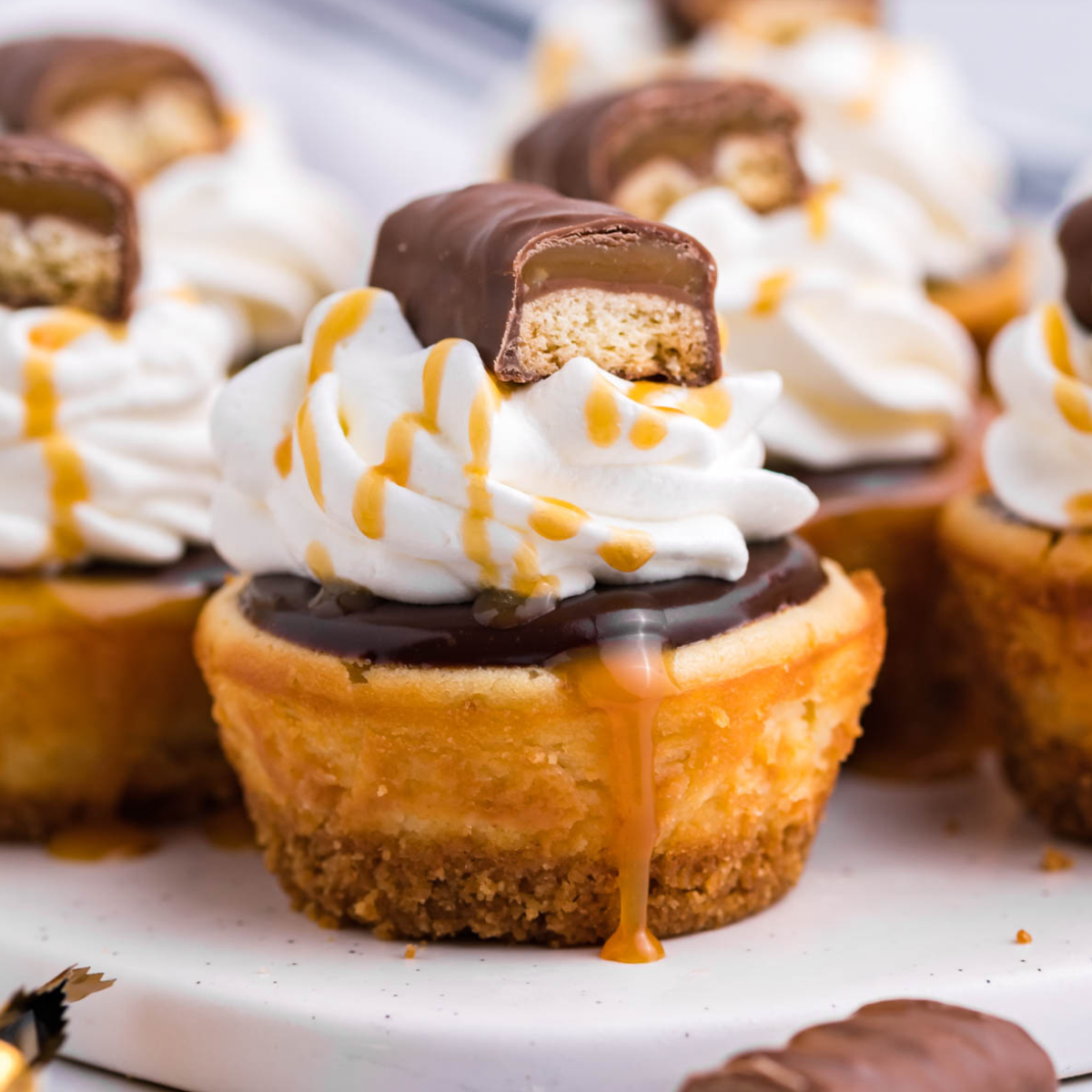 Mini Twix Cheesecakes
