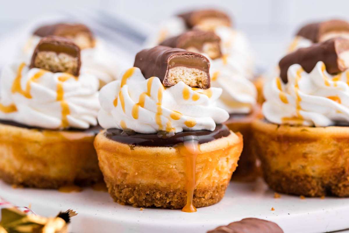 Side view of a Mini Twix Cheesecake topped with whipped cream, caramel drizzle, and Twix candy.