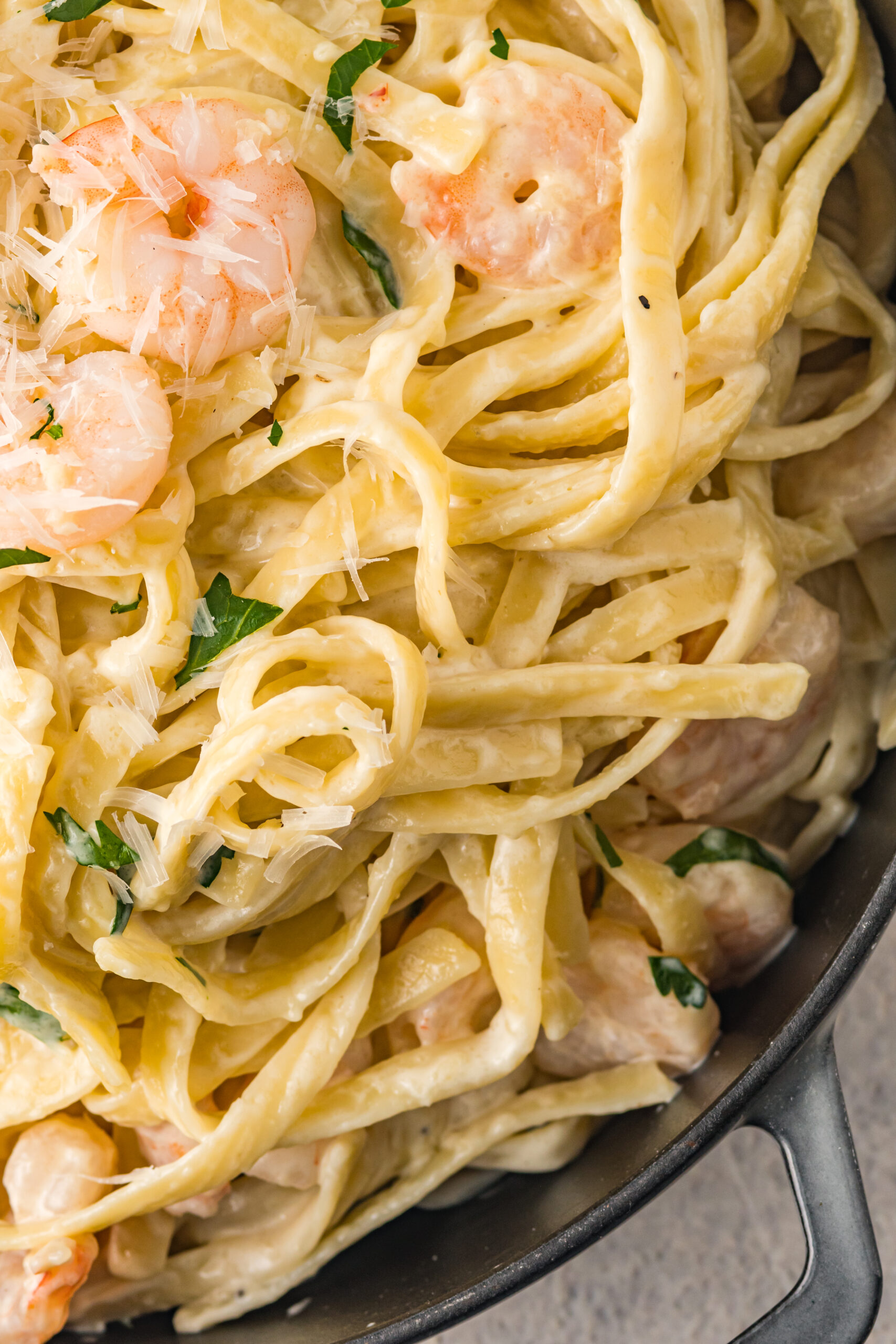shrimp alfredo close up showing texture