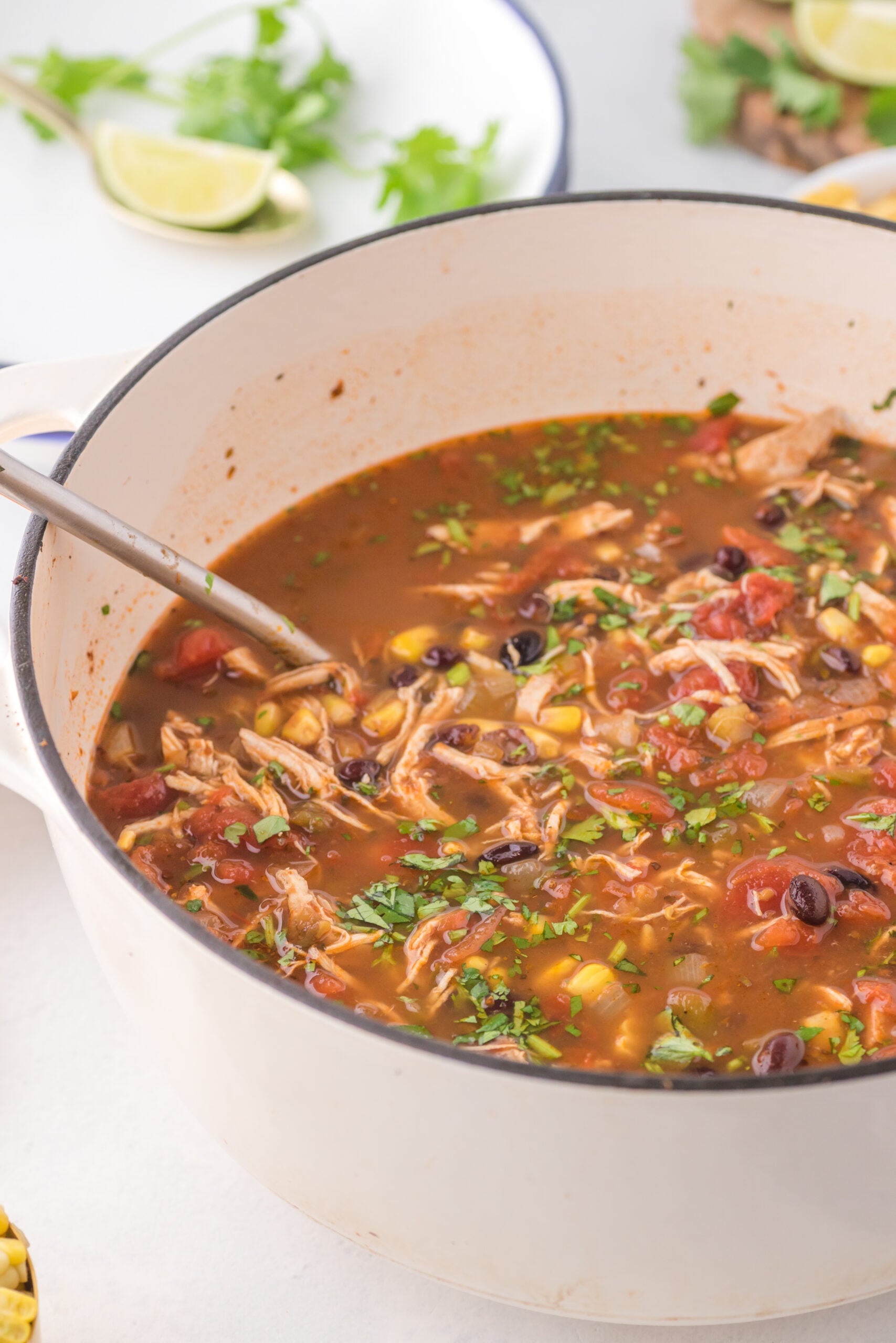 Close up view of Chicken Taco Soup in a white pot.