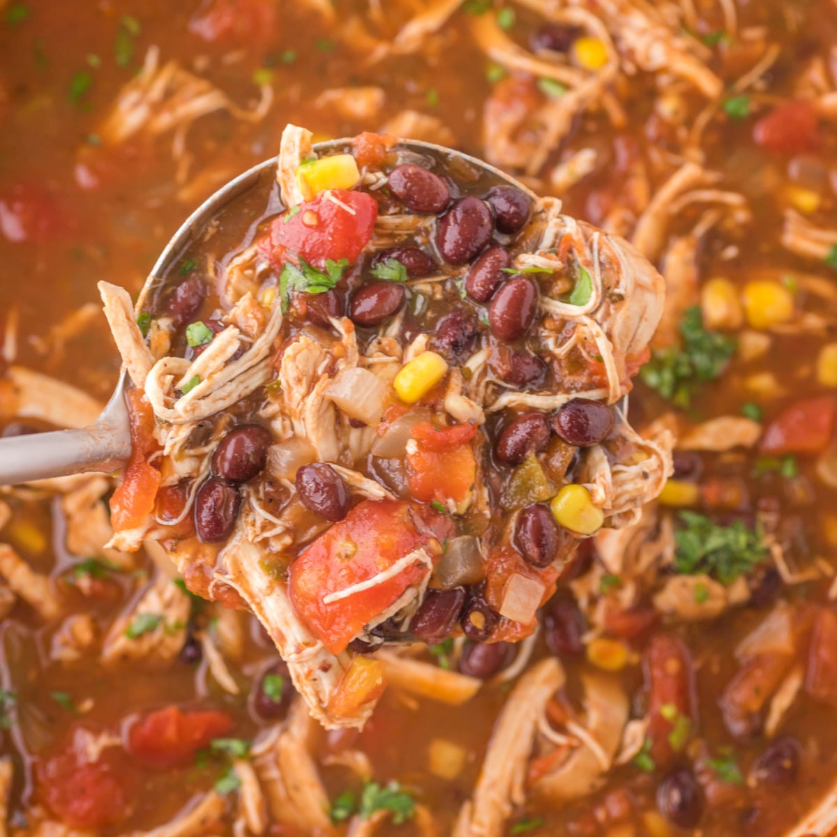 Chicken Taco Soup