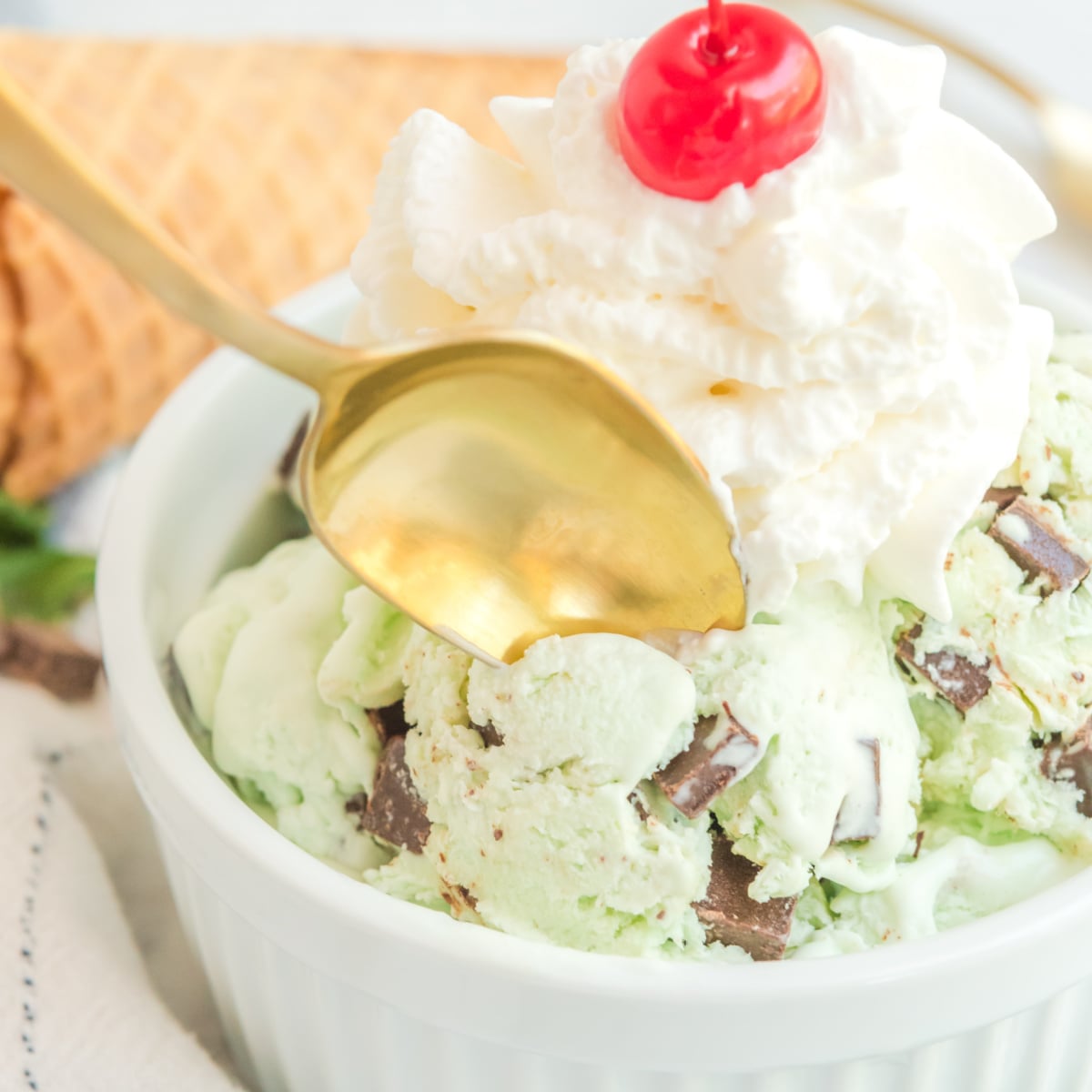 Mint Chocolate Chip Ice Cream