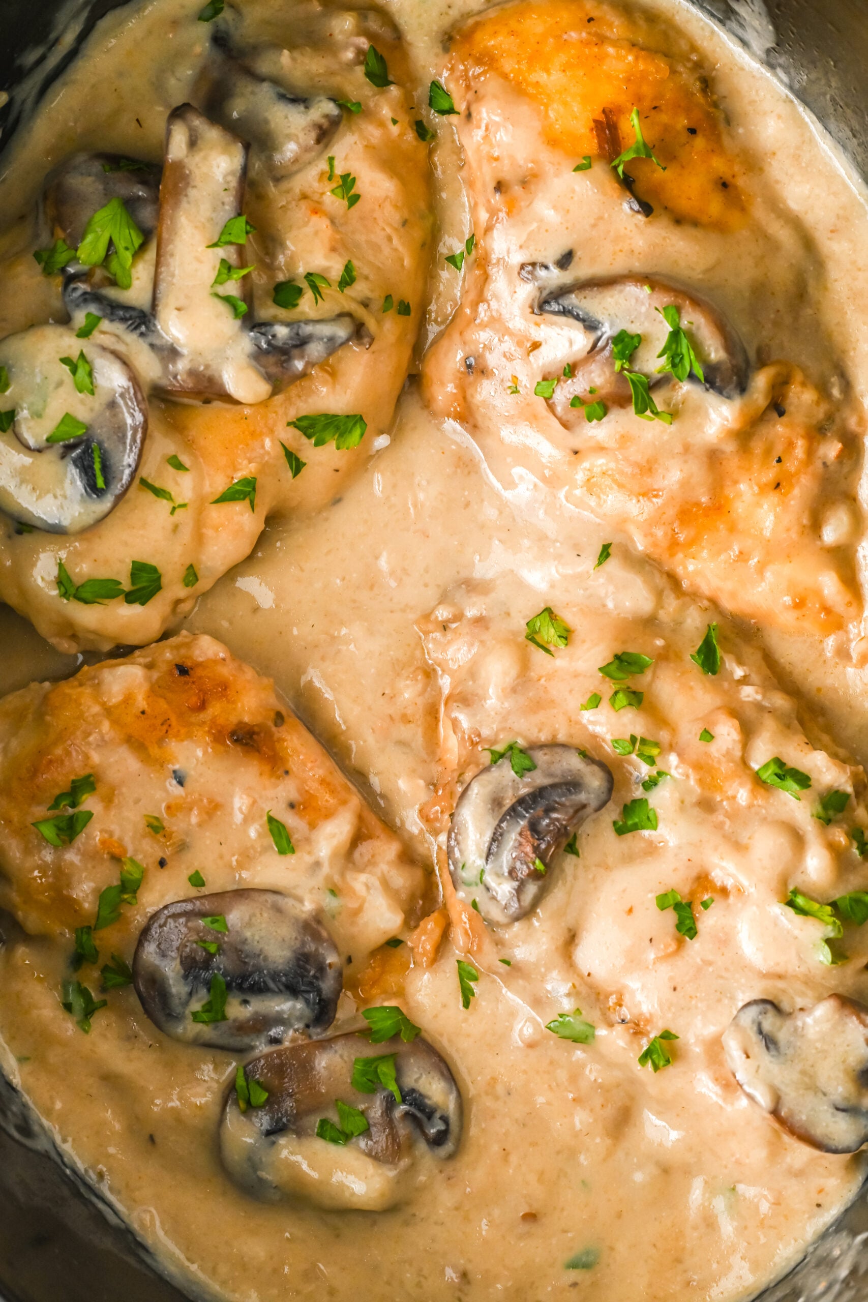 Close up shot of slow cooker chicken marsala topped with fresh parsley.