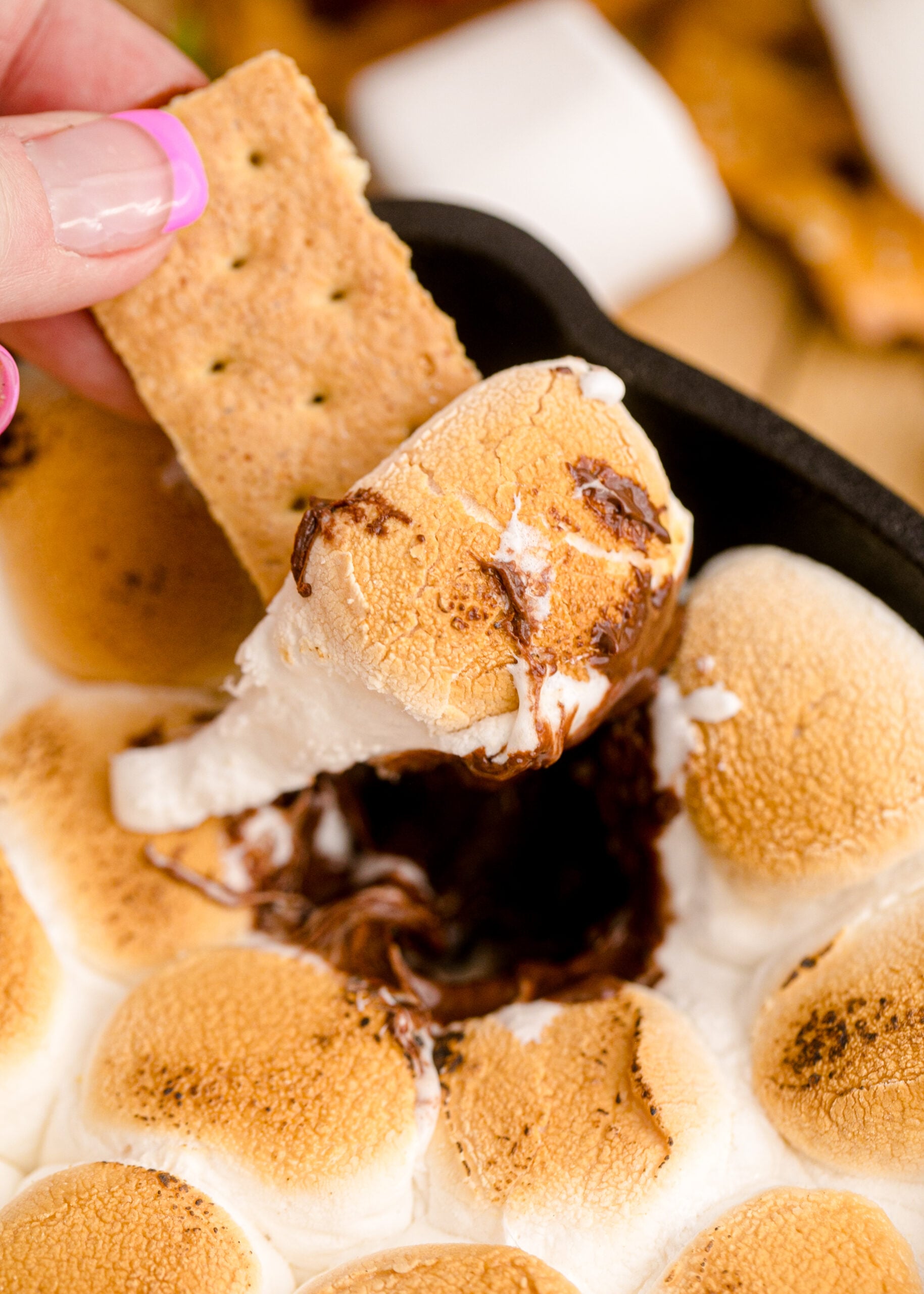 Close up view of S'mores dip in a cast iron skillet with a graham cracker dipped in the dip.