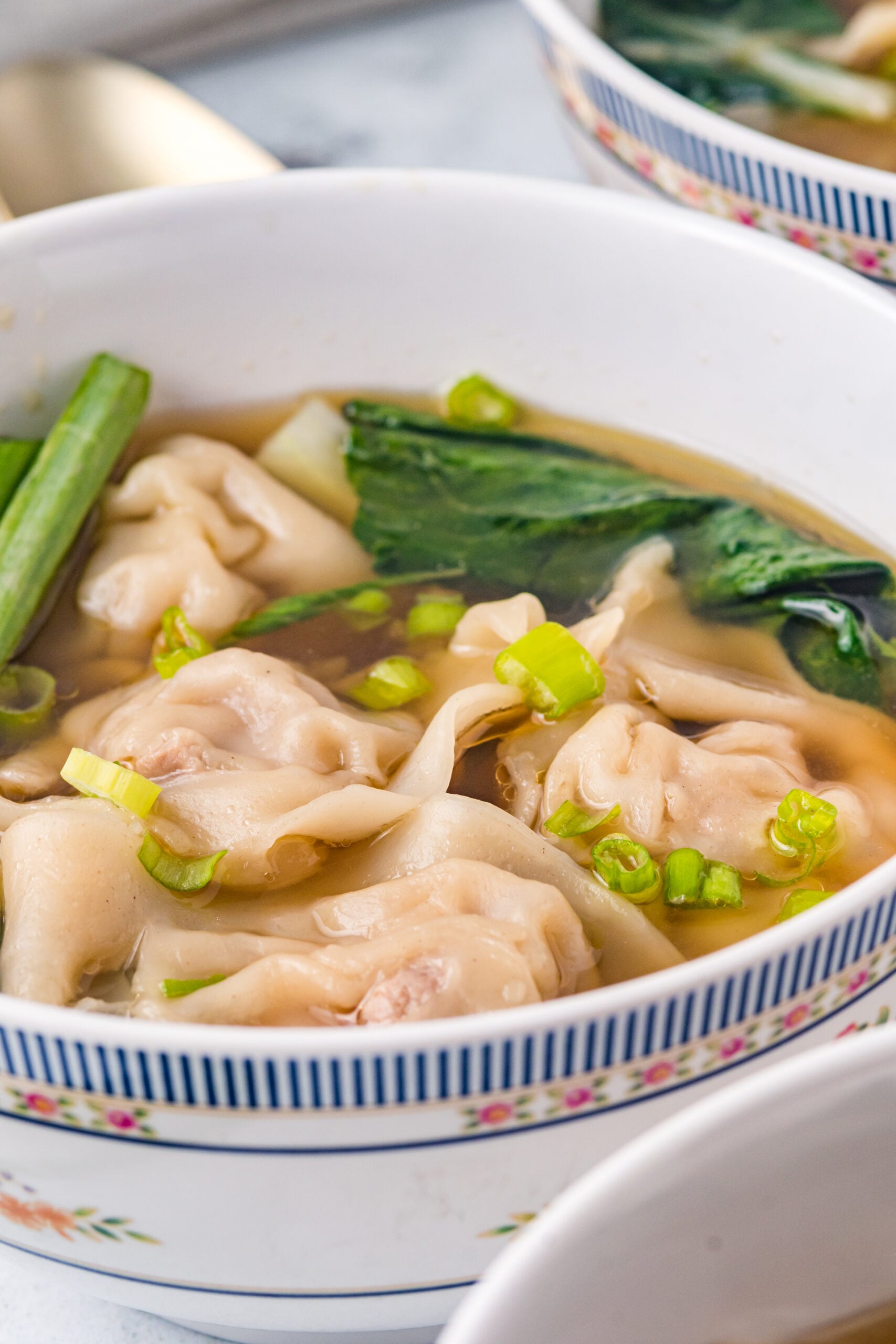 Side view of Wonton Soup in a white bowl topped with sliced green onion.