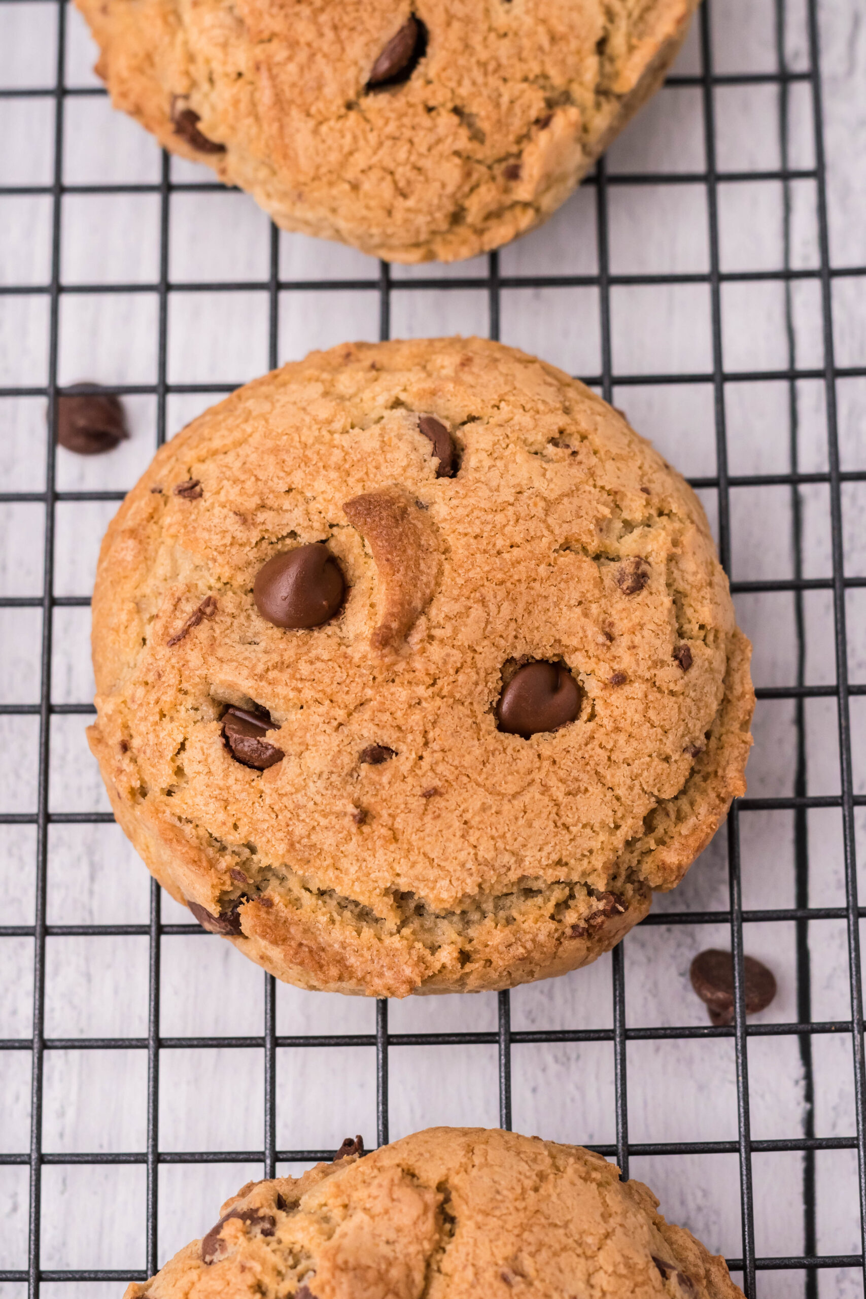 Overhead view of Kahlua Cookies on a black wire rack.