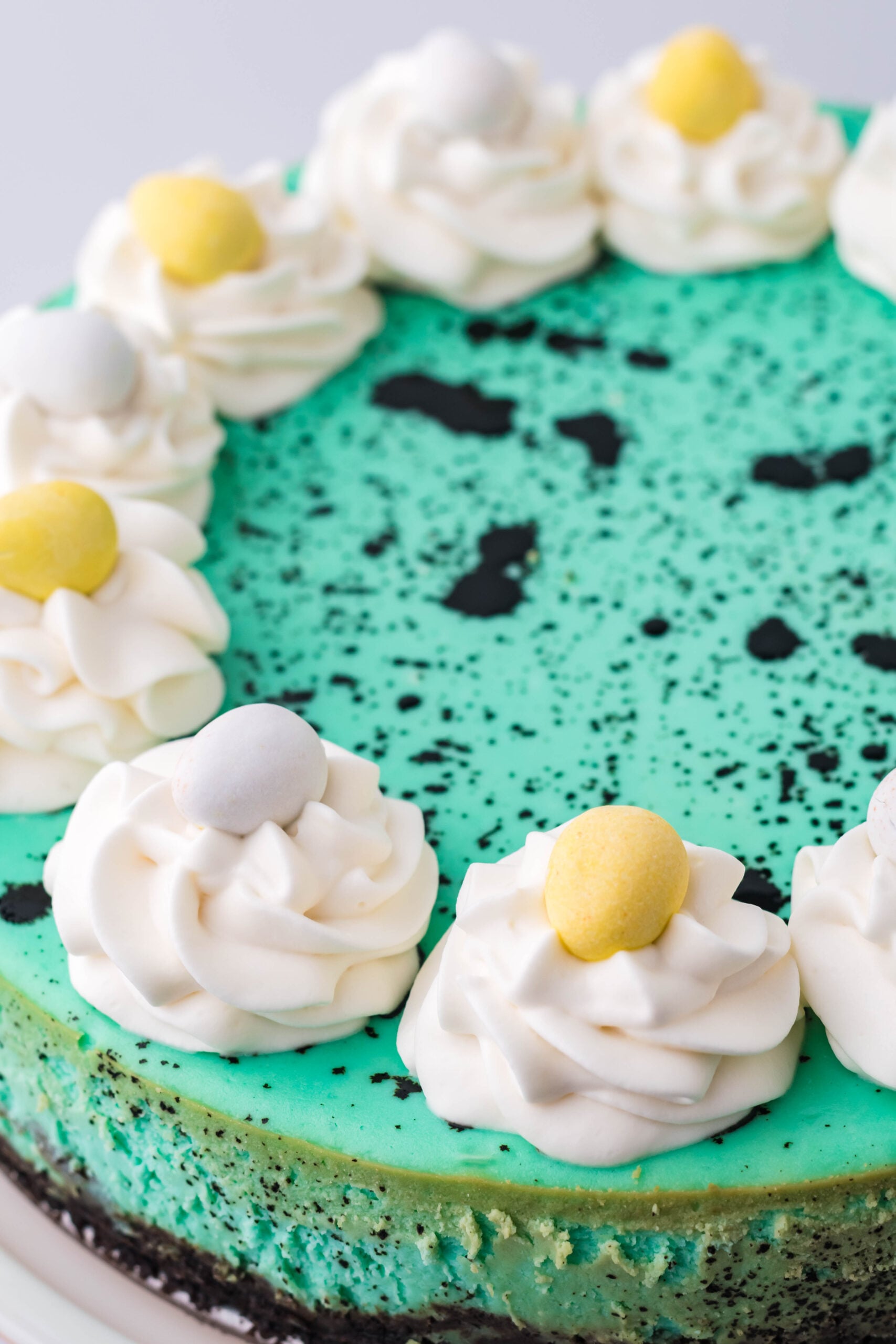 Close up view of Speckled Egg Cheesecake on a white cake stand.