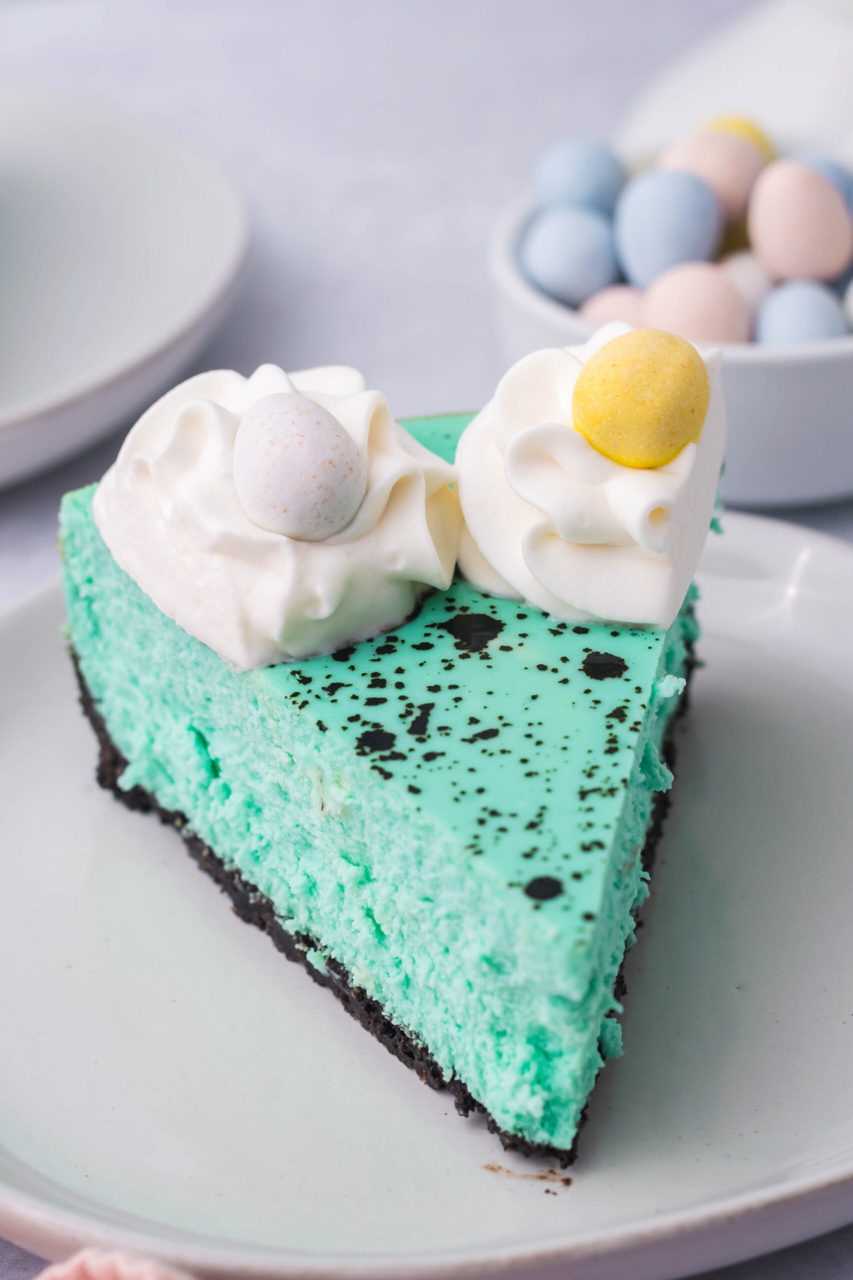 Front view of a slice of Speckled Egg Cheesecake on a white plate.