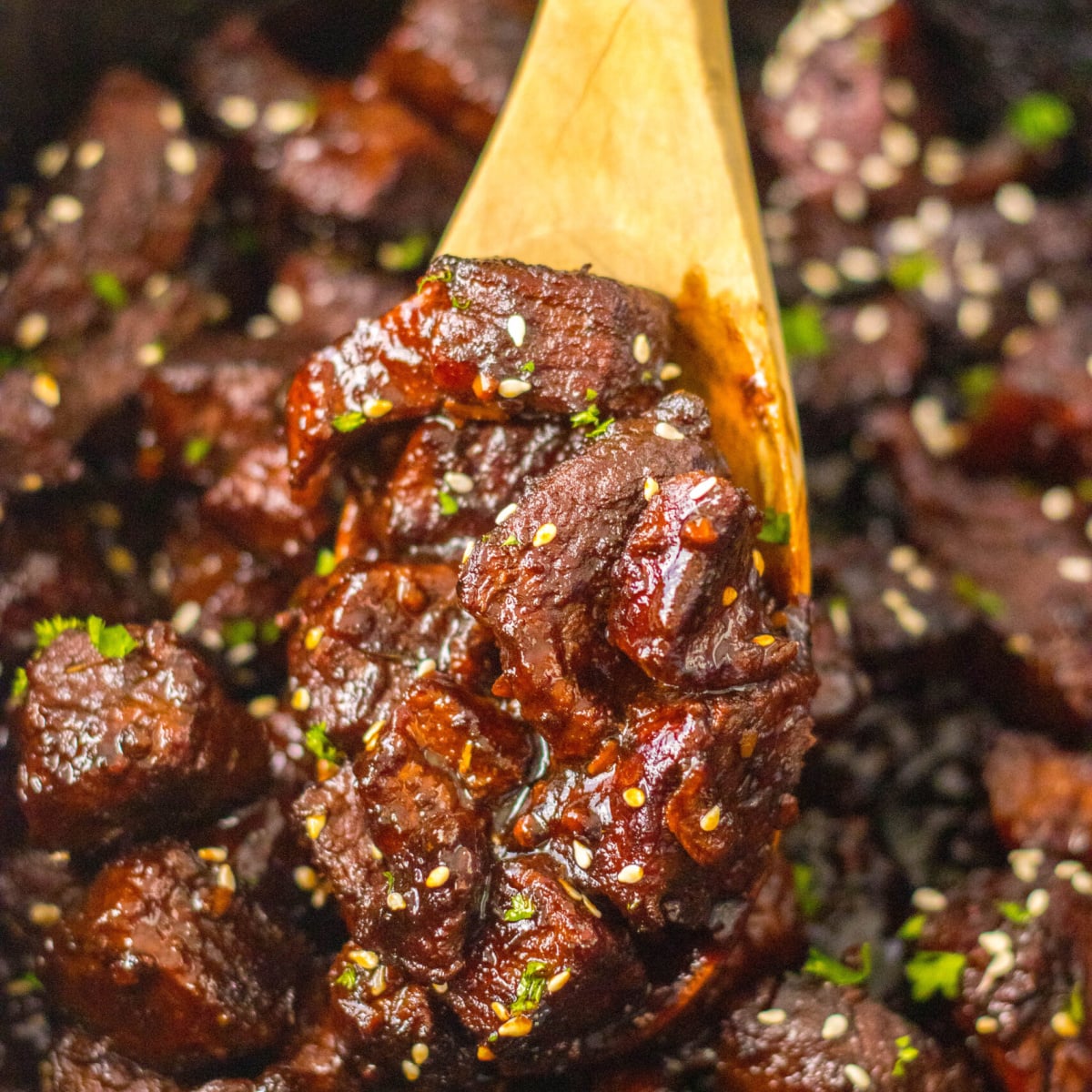 Slow Cooker Honey Garlic Steak Bites