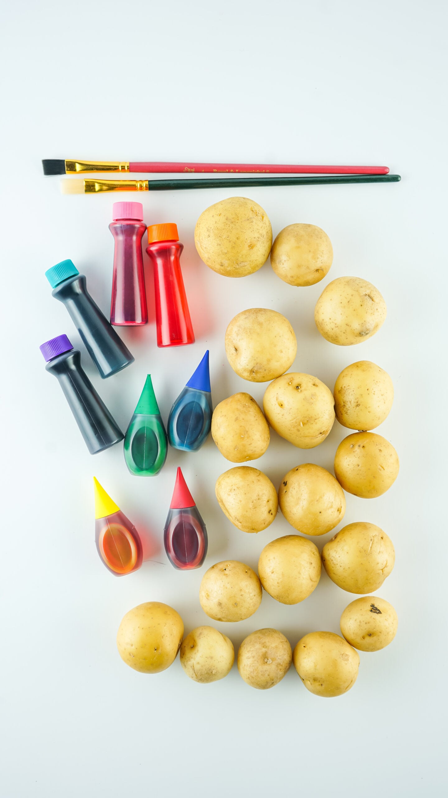 Overhead view of the items needed to make Dyed Easter Egg Potatoes.
