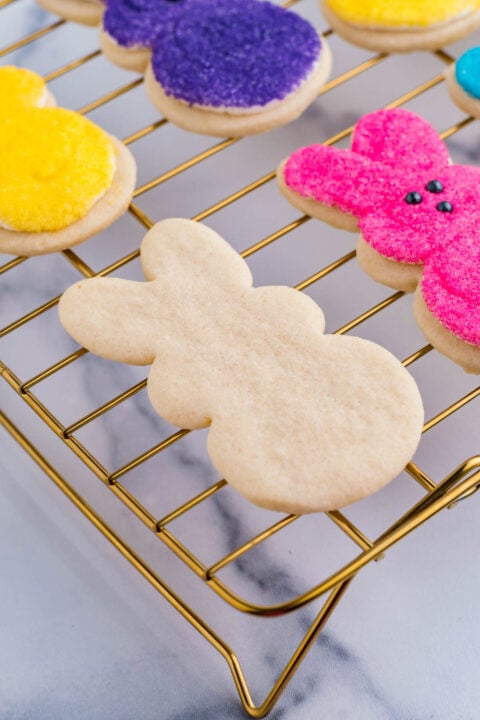 A plain Easter bunny cookie before it is decorated.