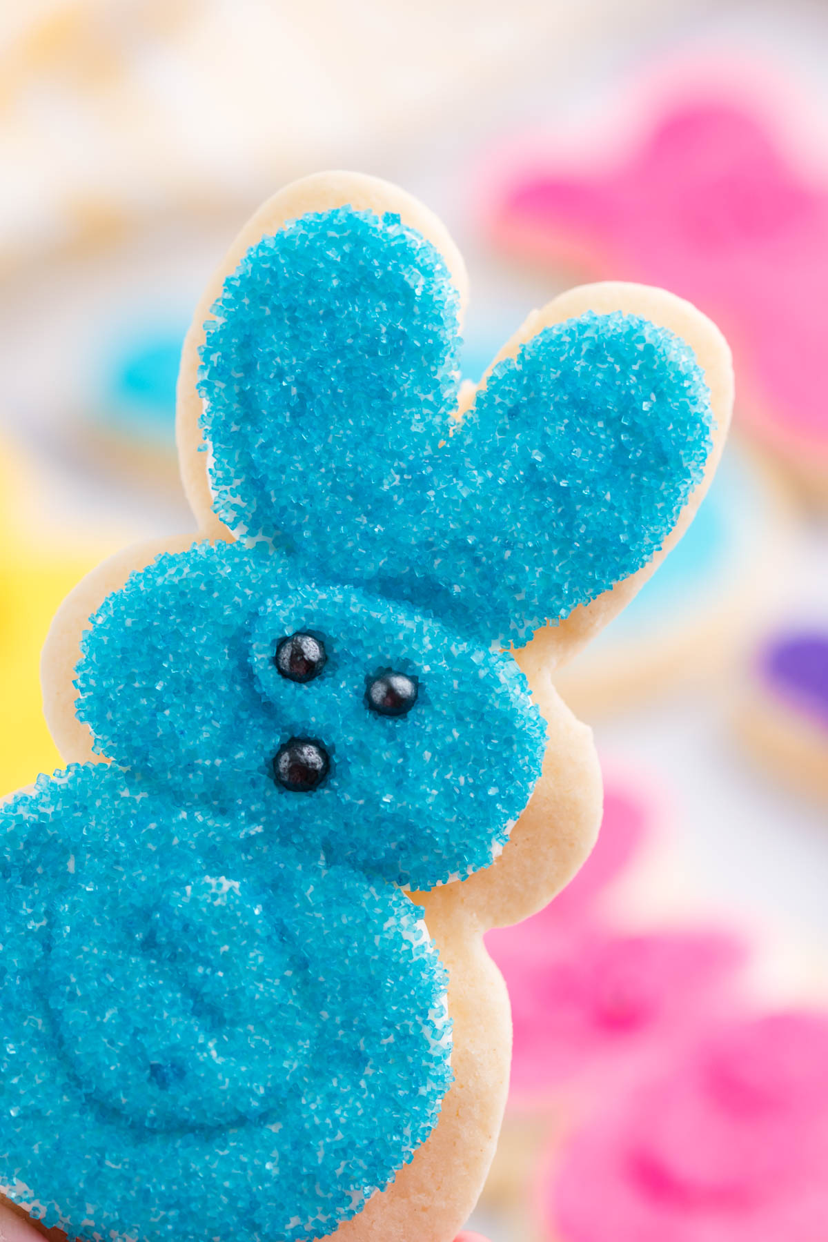 A hand holding up a blue Easter Bunny Cookie.