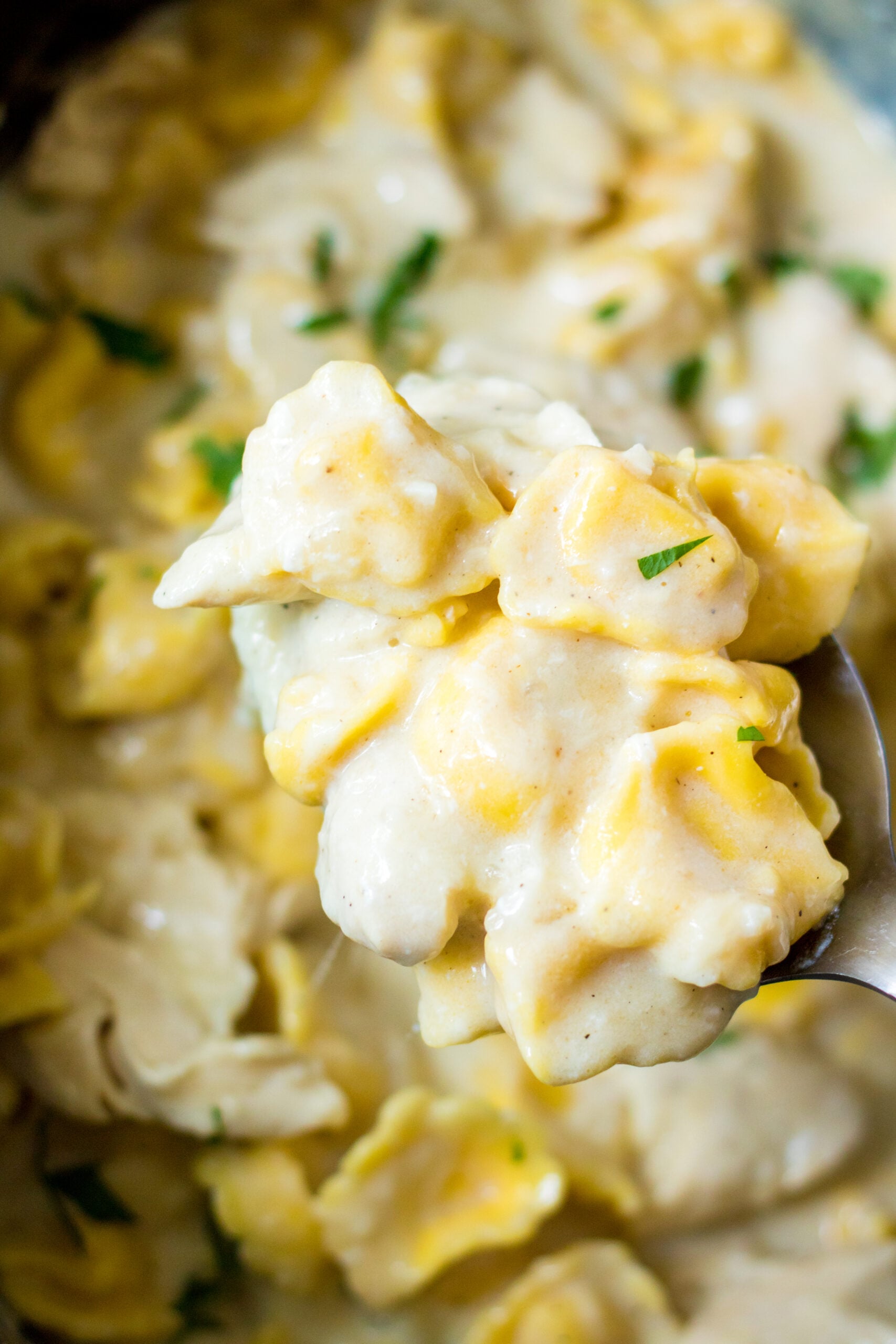 Up close view of a bite of Slow Cooker Chicken Tortellini on a silver spoon.